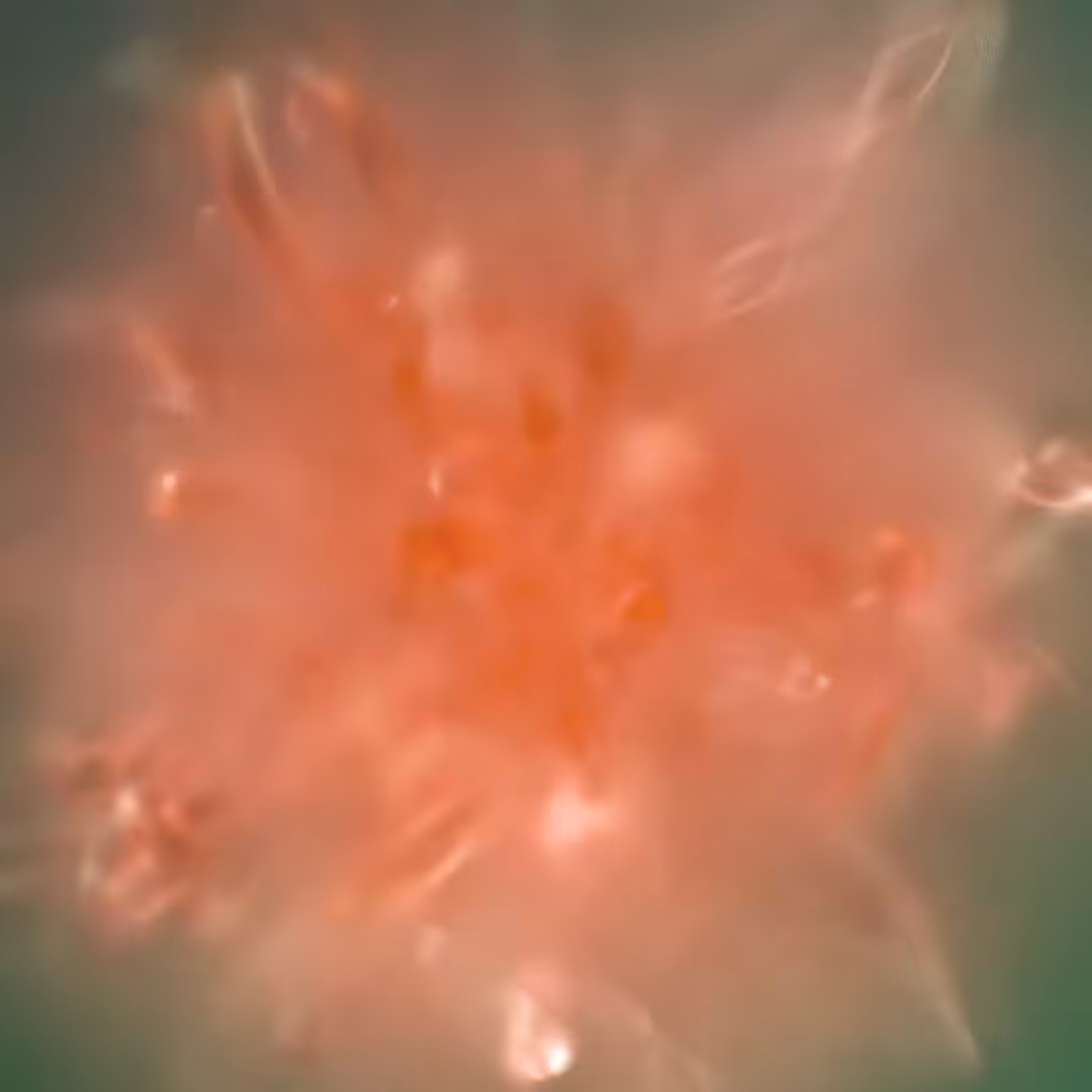 Red Coral Jelly Ball