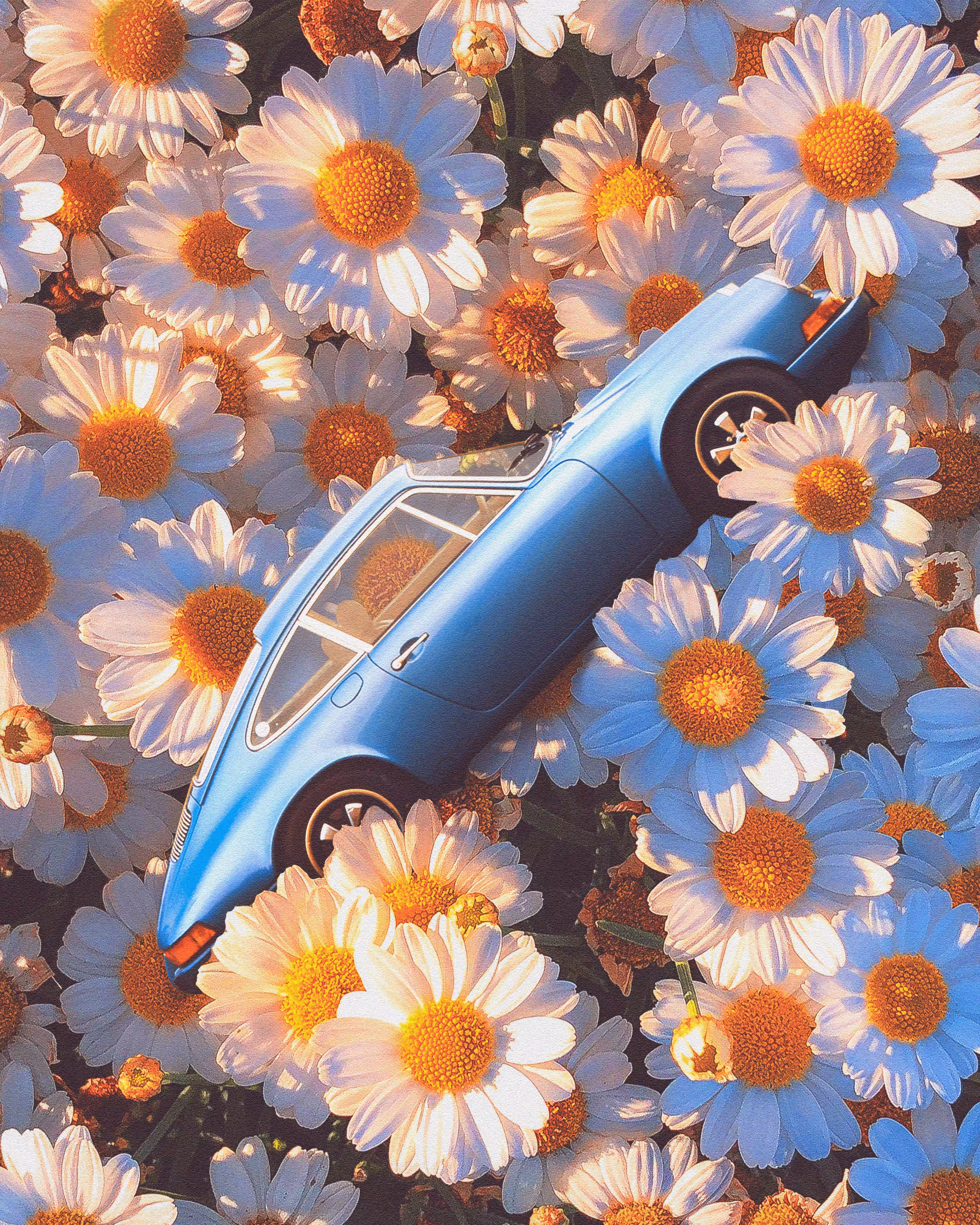 Little daisies