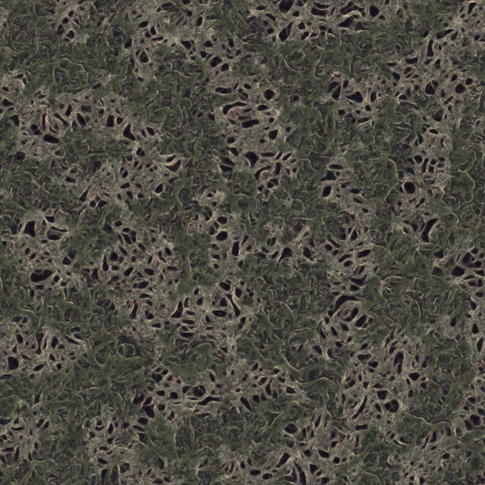 saprophyte #147