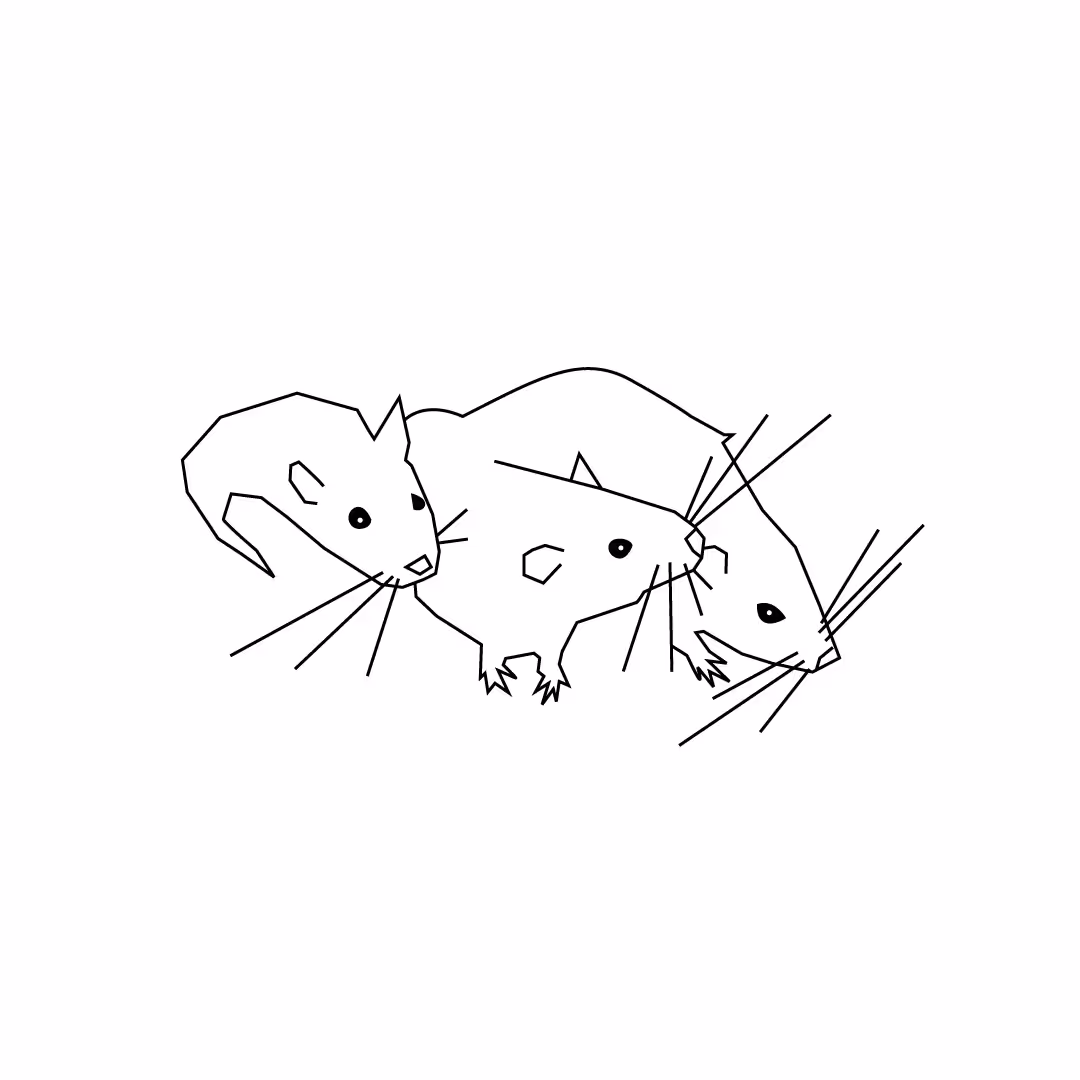 ratarts 1