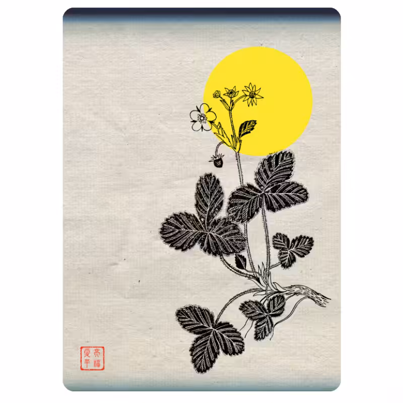 Zen flower card #12