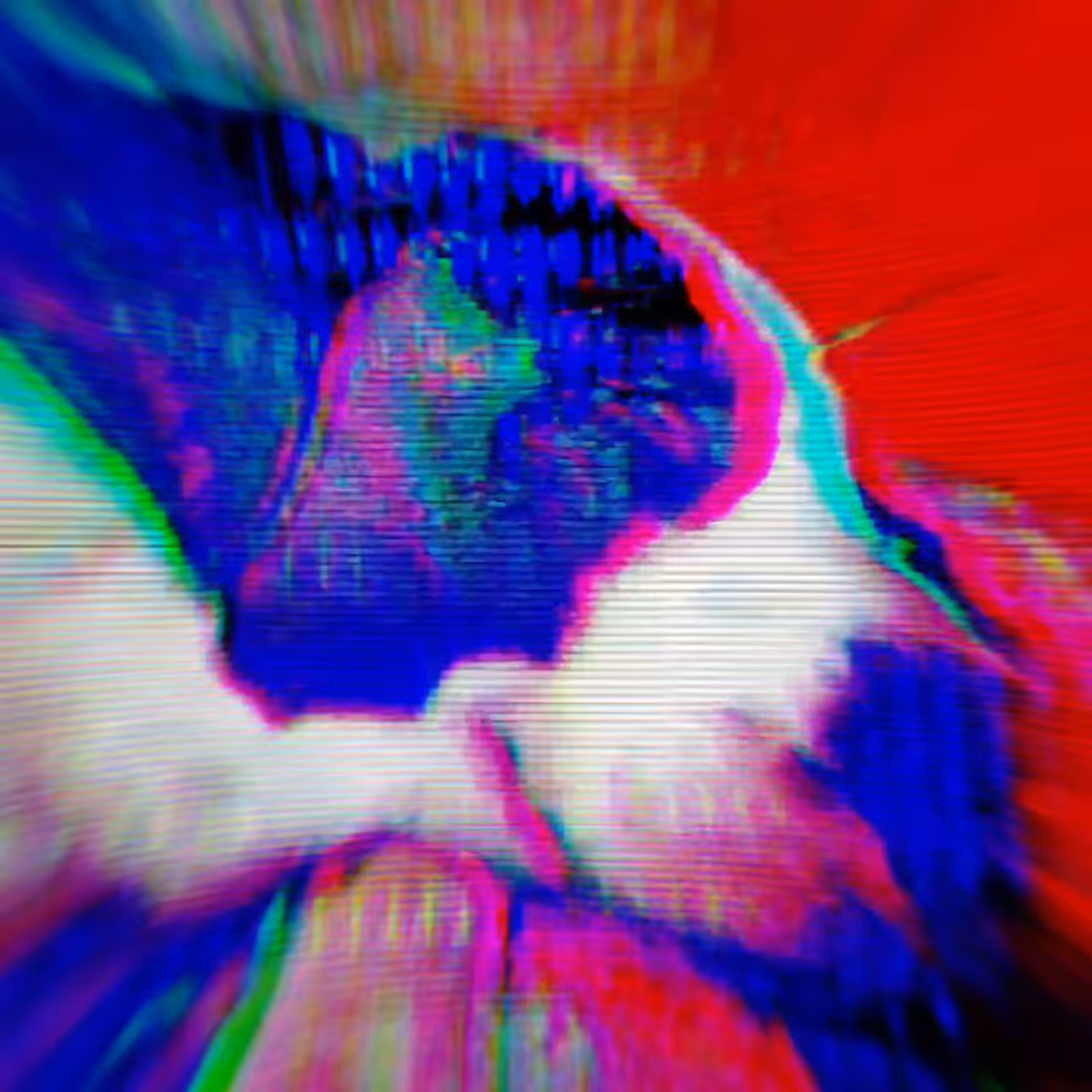 Dogwave Part 4: Sleep Ballin'//