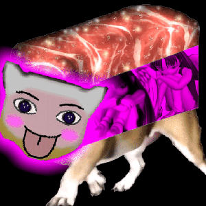 😹🚐🥩🪽🪽🖤🖤
