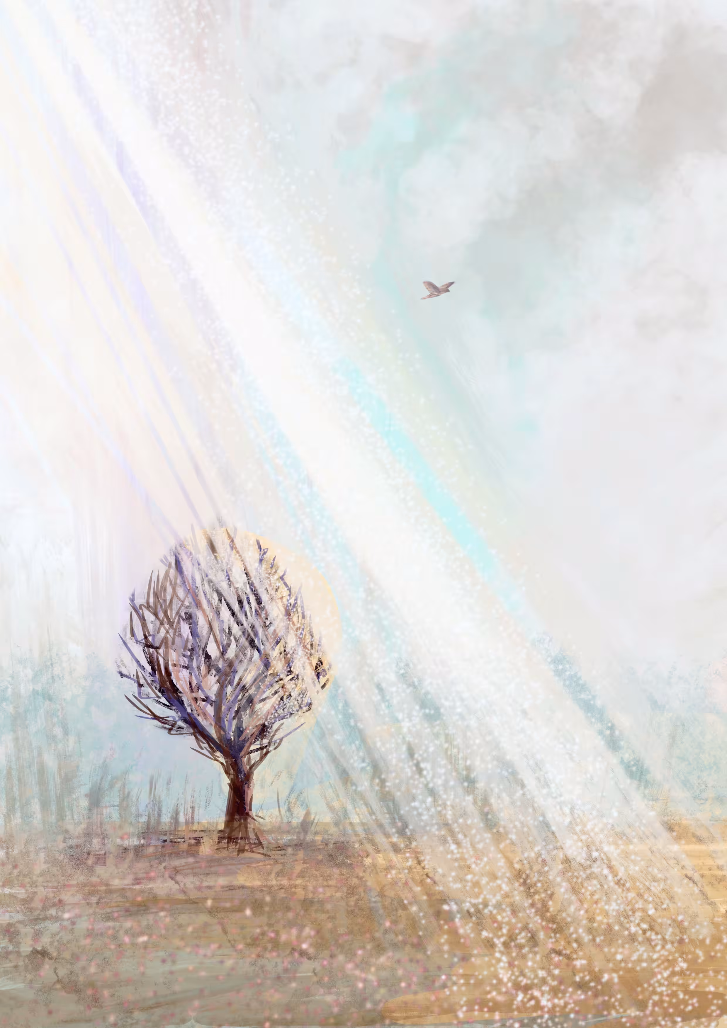 Let the light