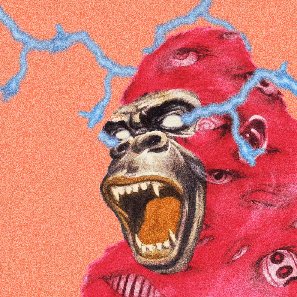 DMT APE