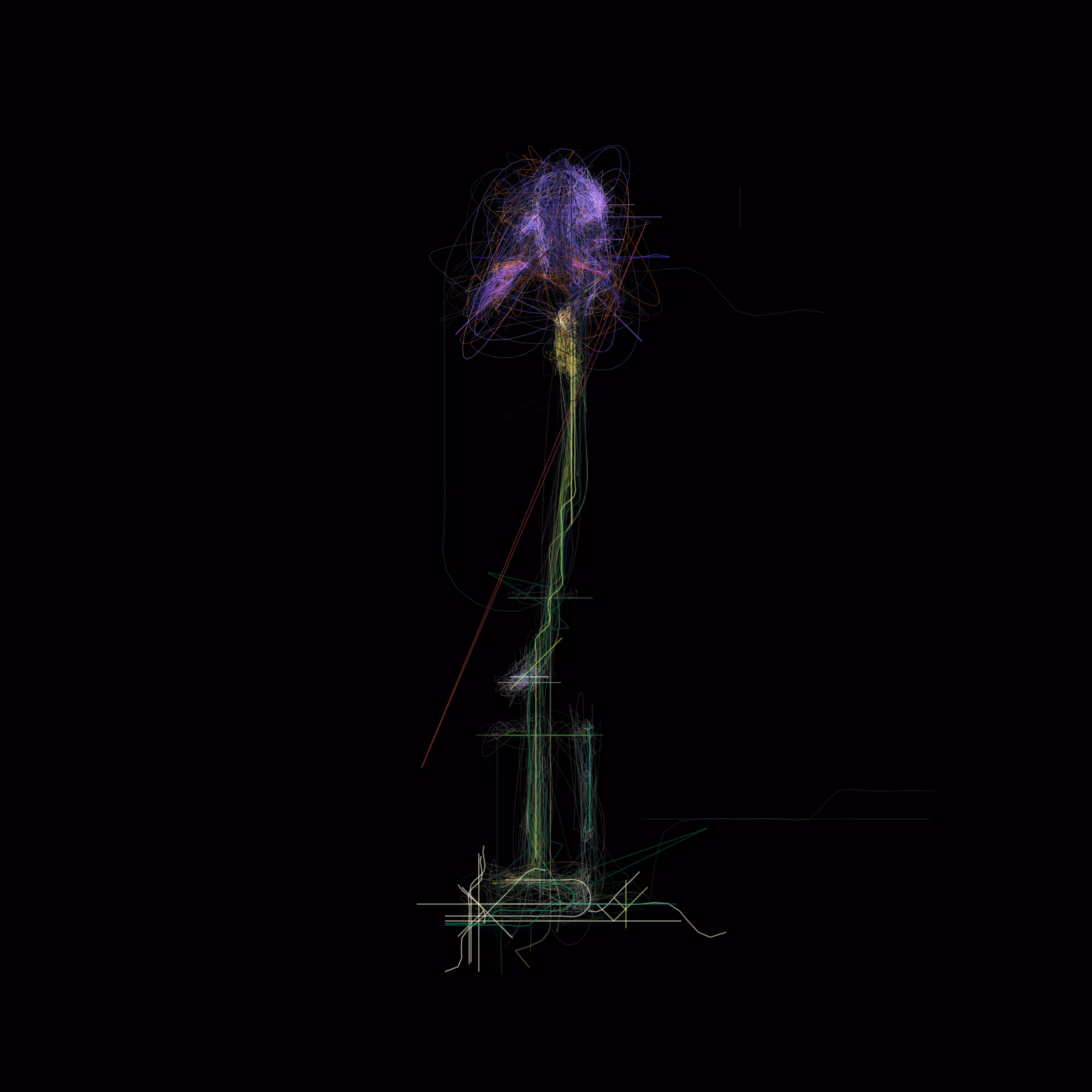 Iris I