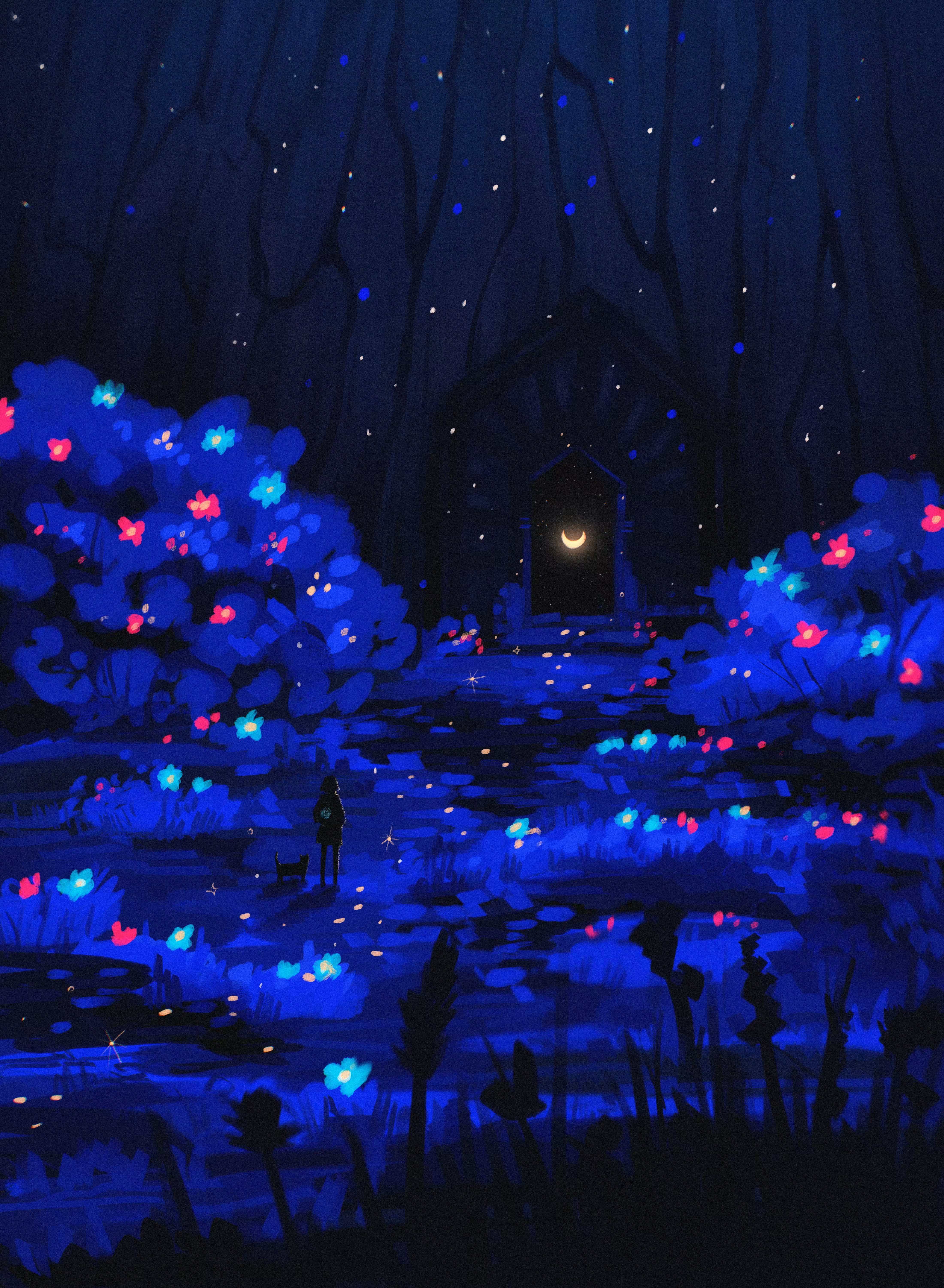 hidden universe