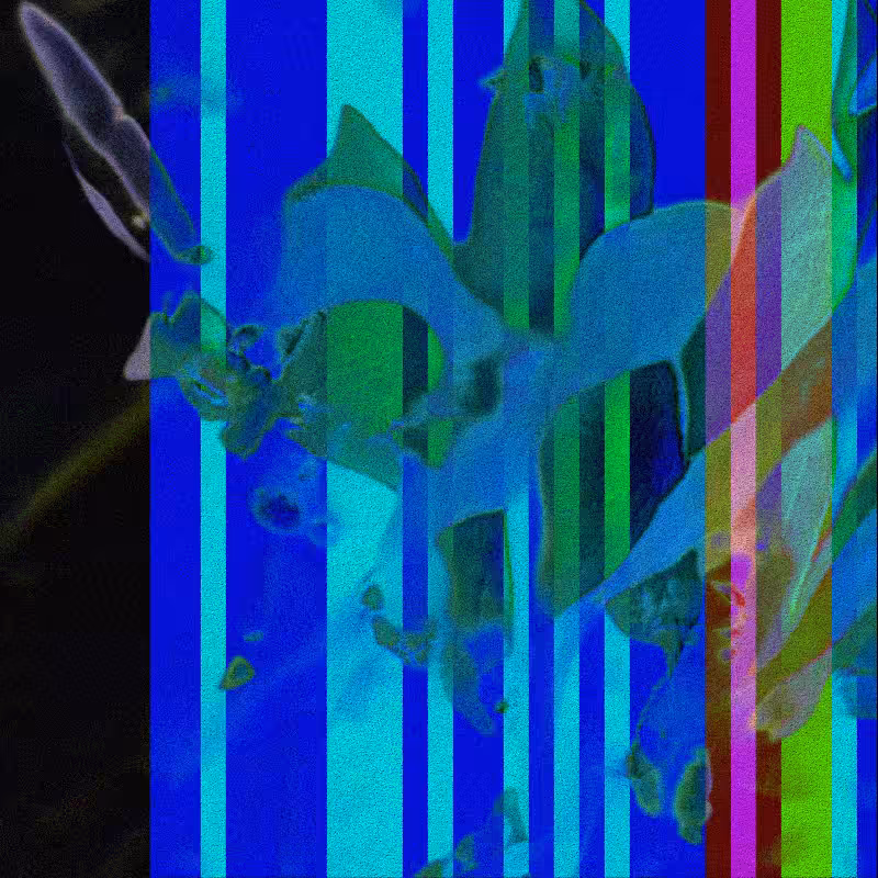 CLDCSMC #108