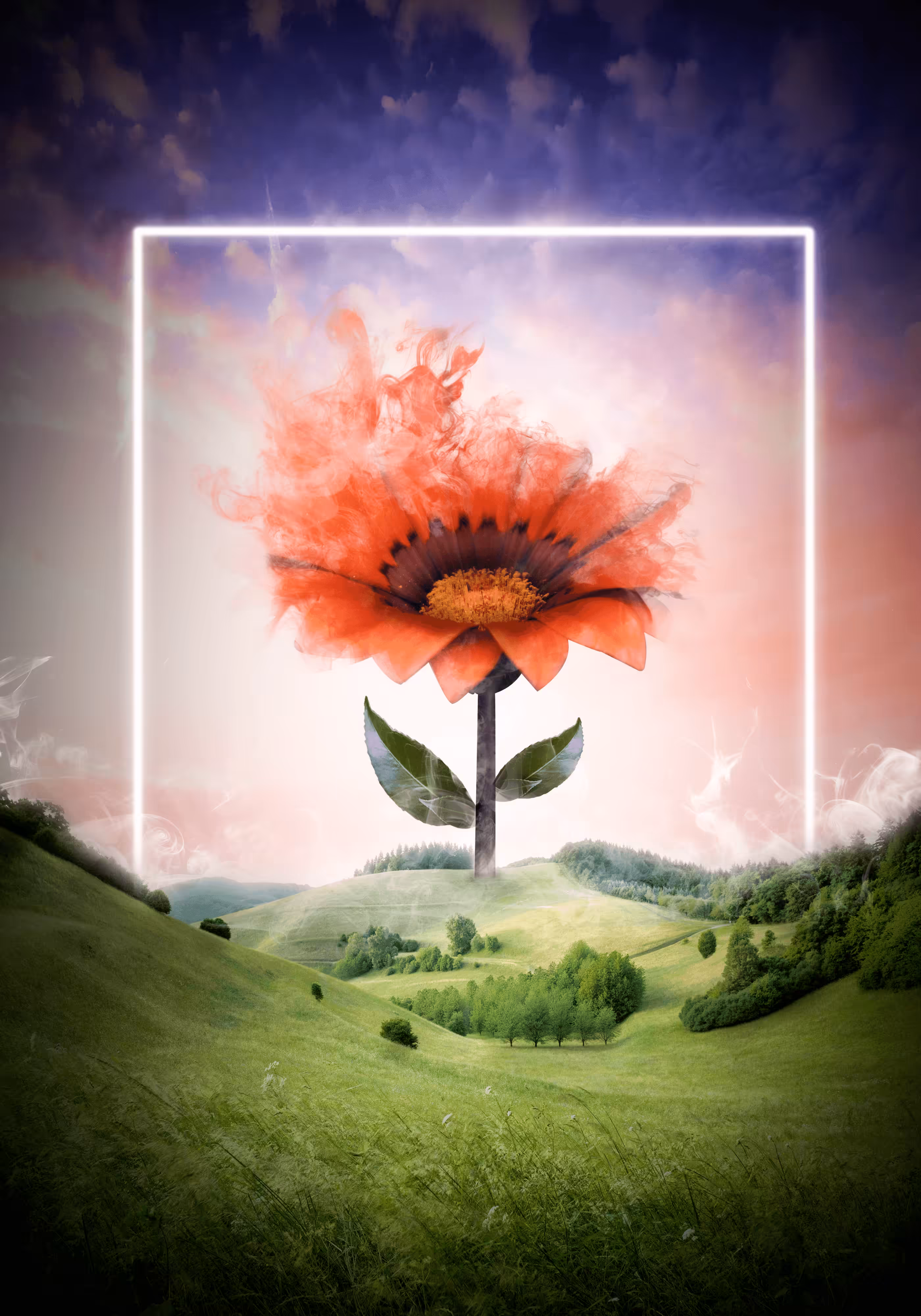 Nature magnetic sweetness