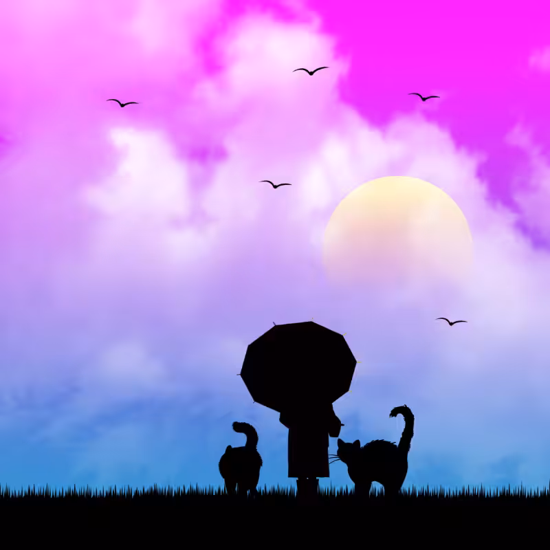 We Care...Cat #4