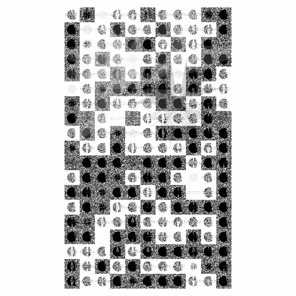 Etude B&W #84