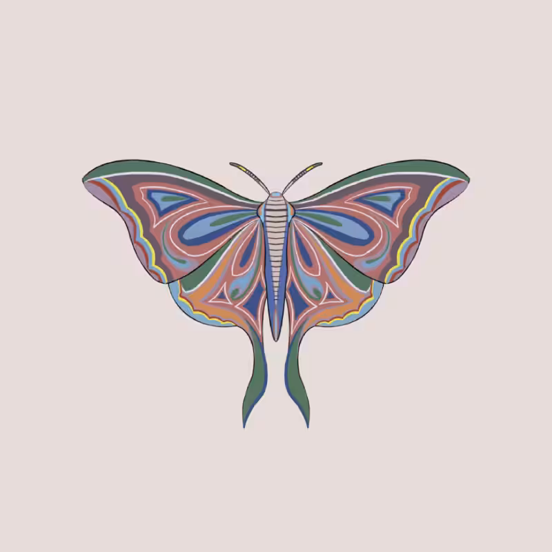 The Moth Experiment 2.0 P2 #33