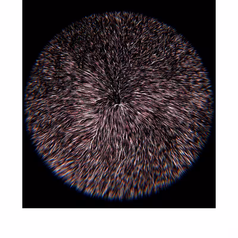 28.2000° N, 83.9755° E #23
