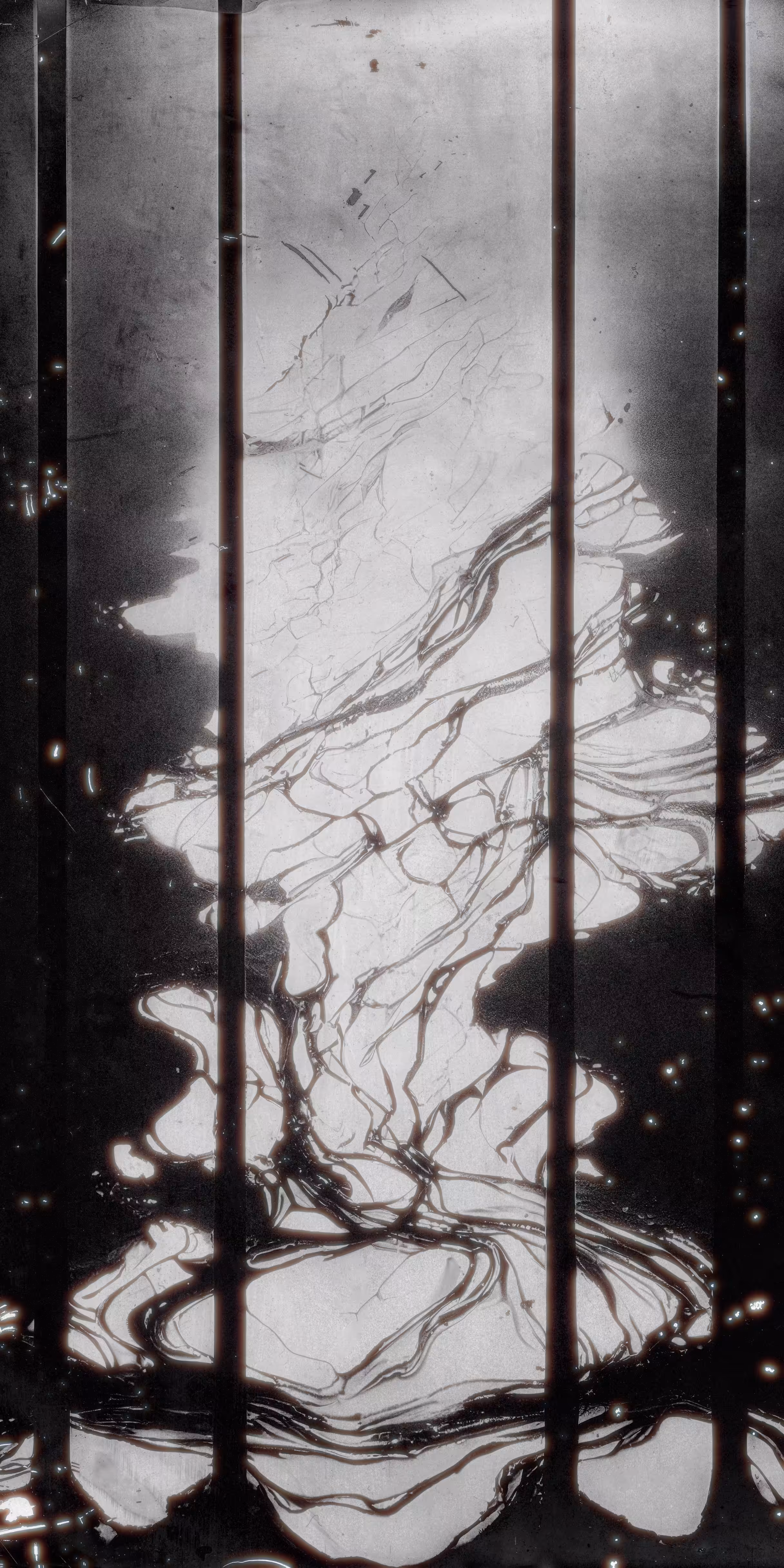 Visions of Birth #2
