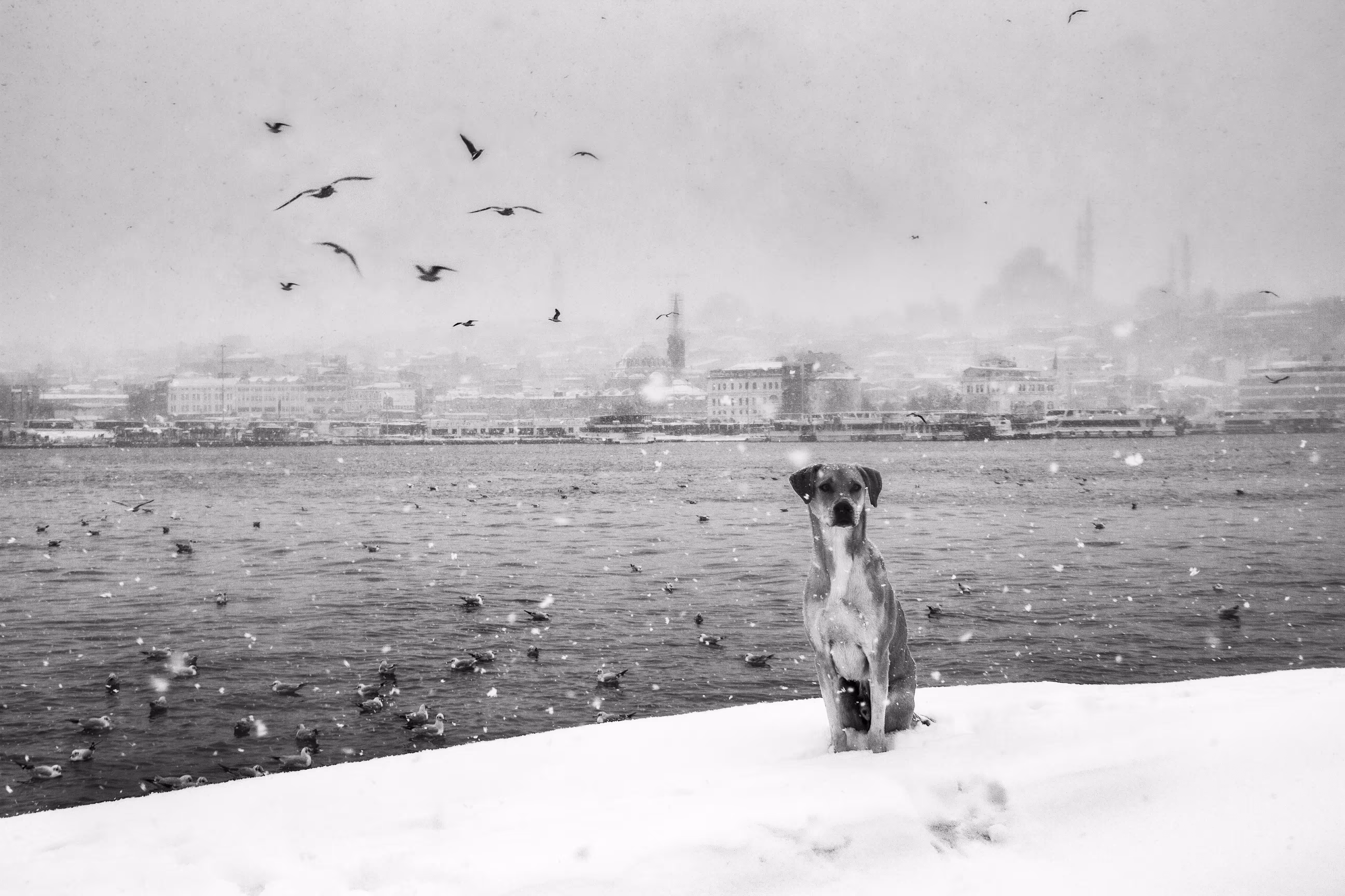 Outside in the cold
