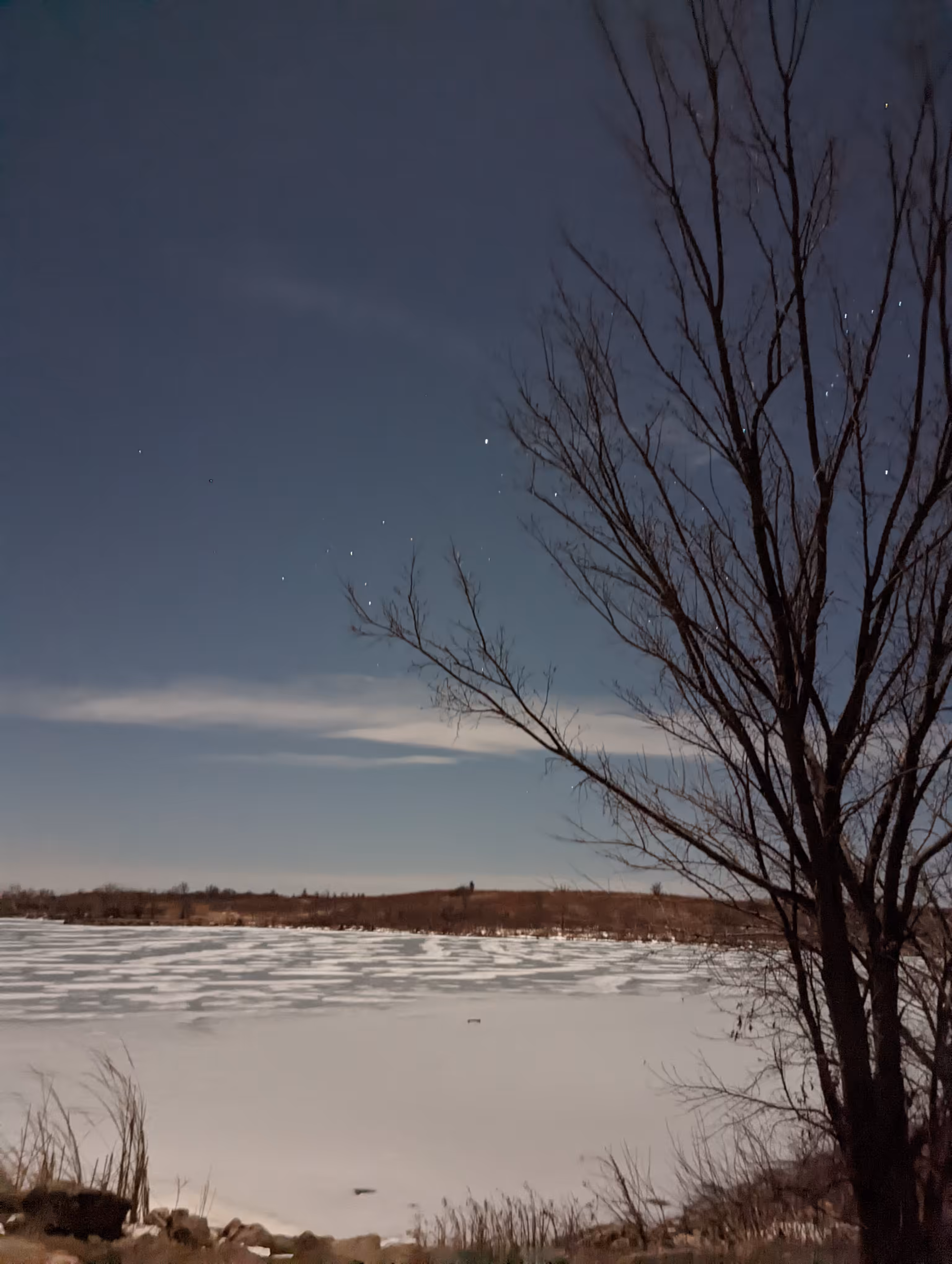 Wolf's moon at the lake