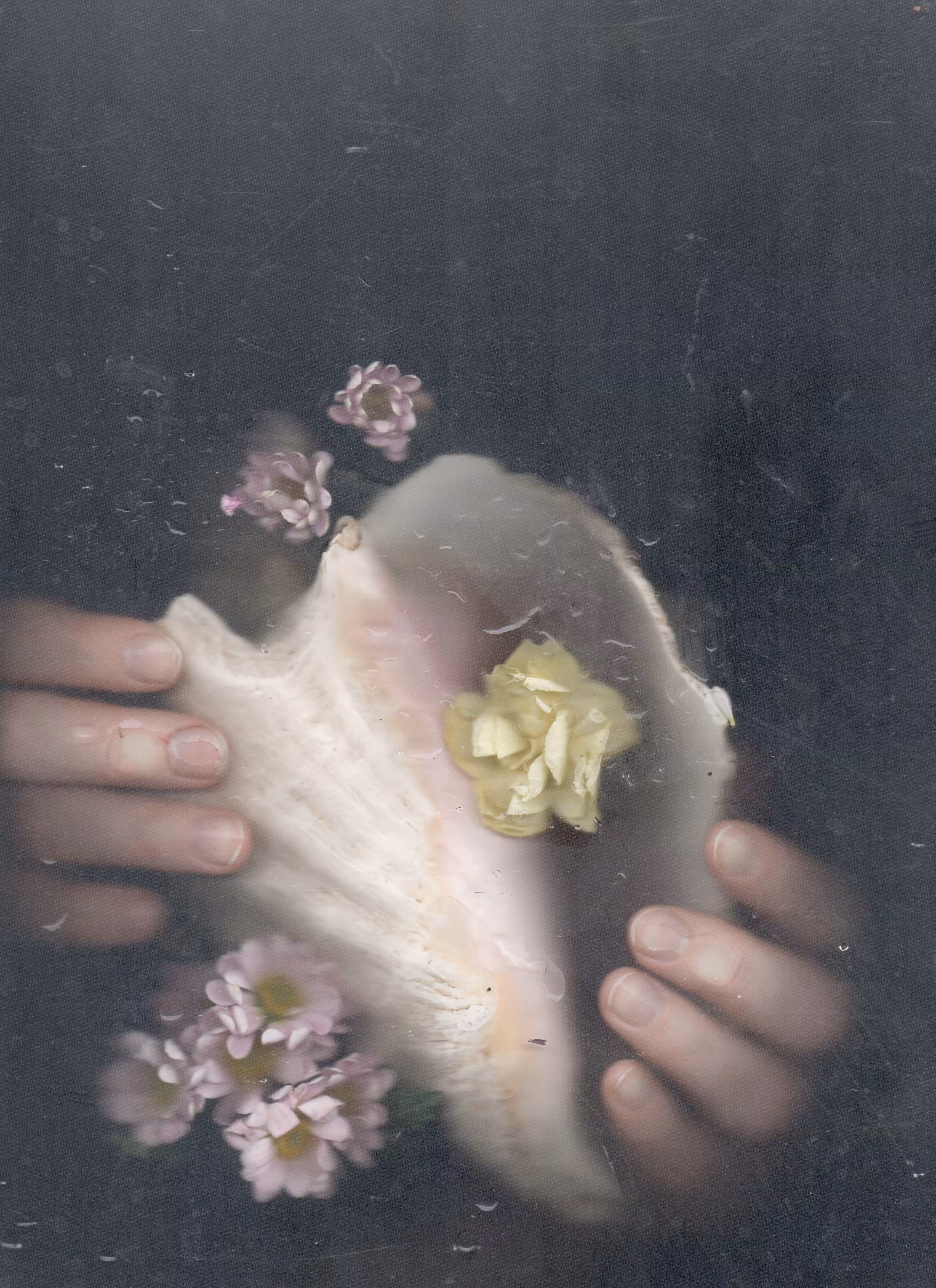 Mermaid secrets