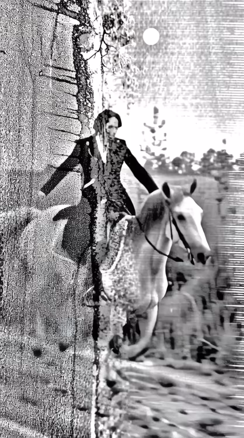 Horses_