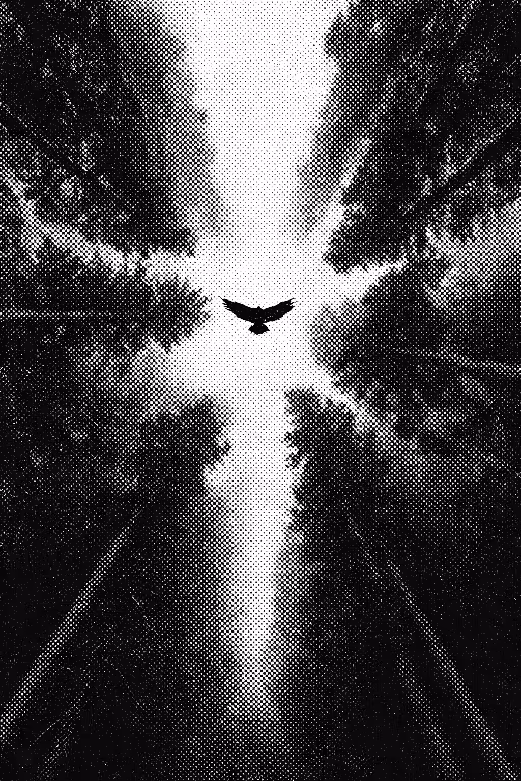 Everflight