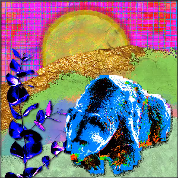 Saccharine Biomes: Hills #10