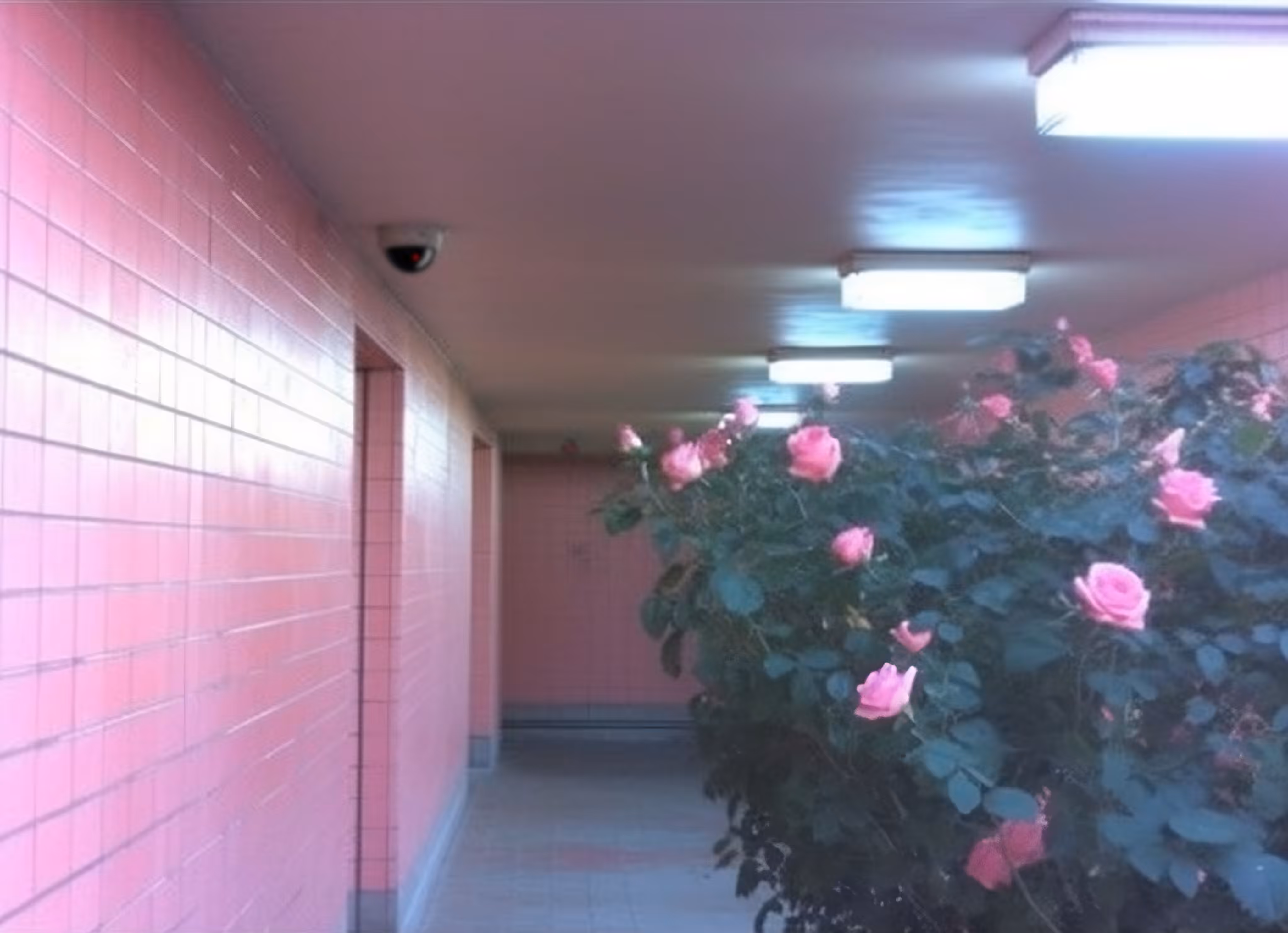 Someone (Probably Sinister and Scary) is Watching You