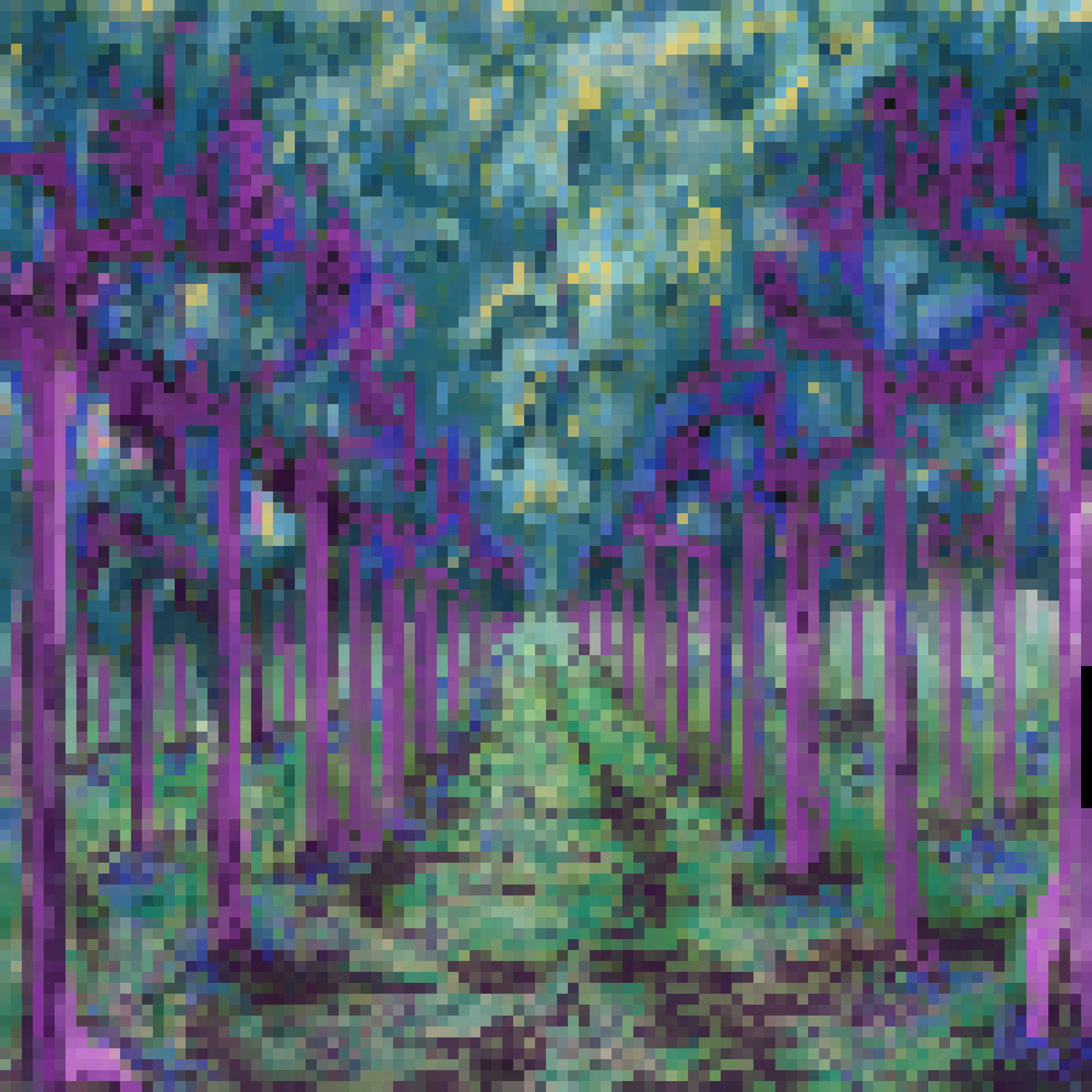 The vision of the vineyard