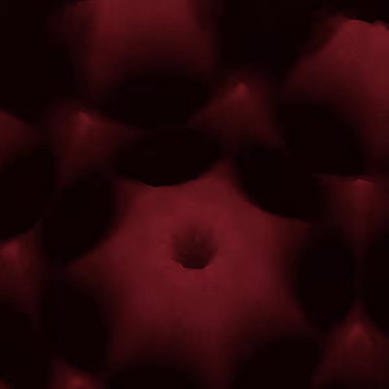 Bloom #7