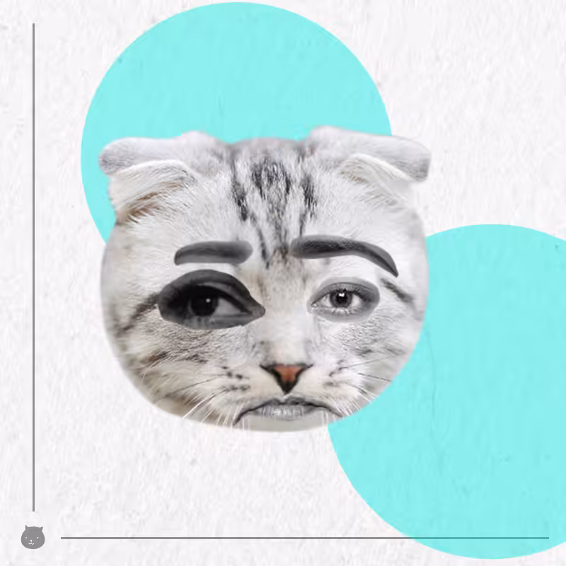 Kittenstein #51