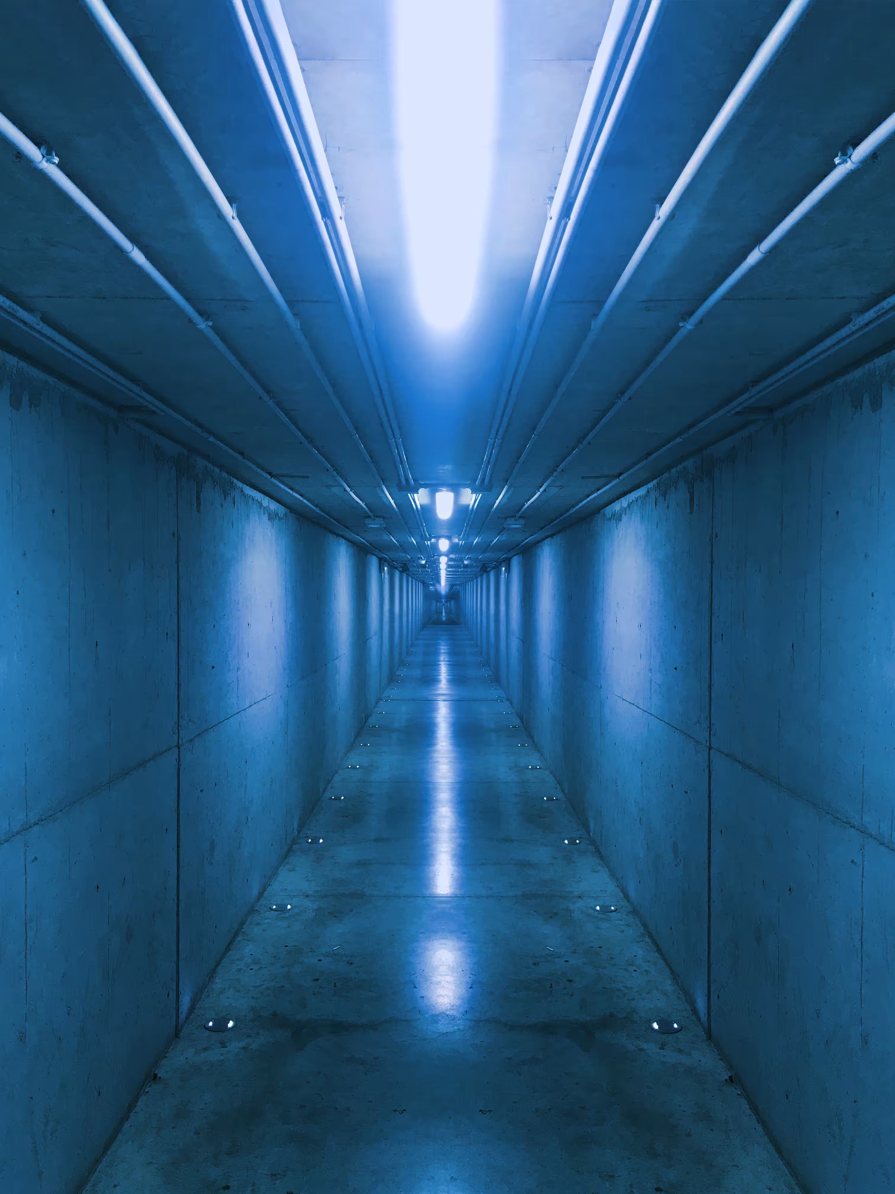 Endless