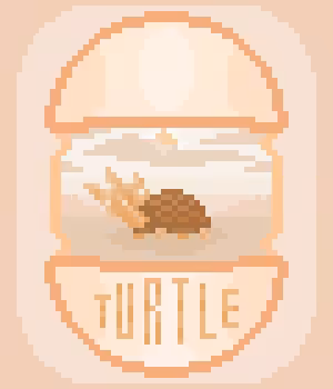 TURTLE 'ORANGE CRYSTAL'