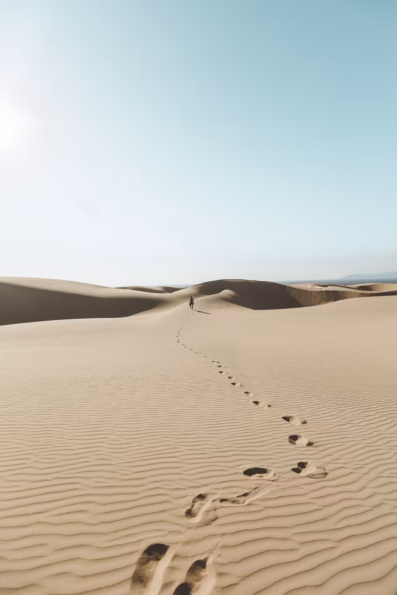 The Wanderer 