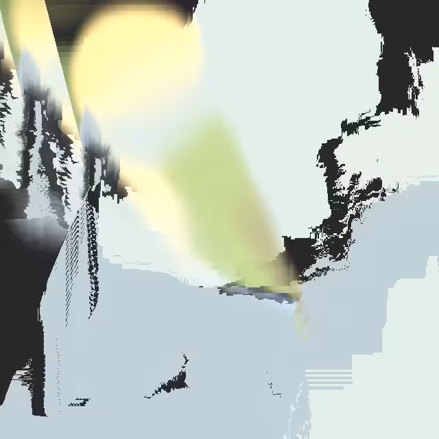 Creosote Studies - August 3