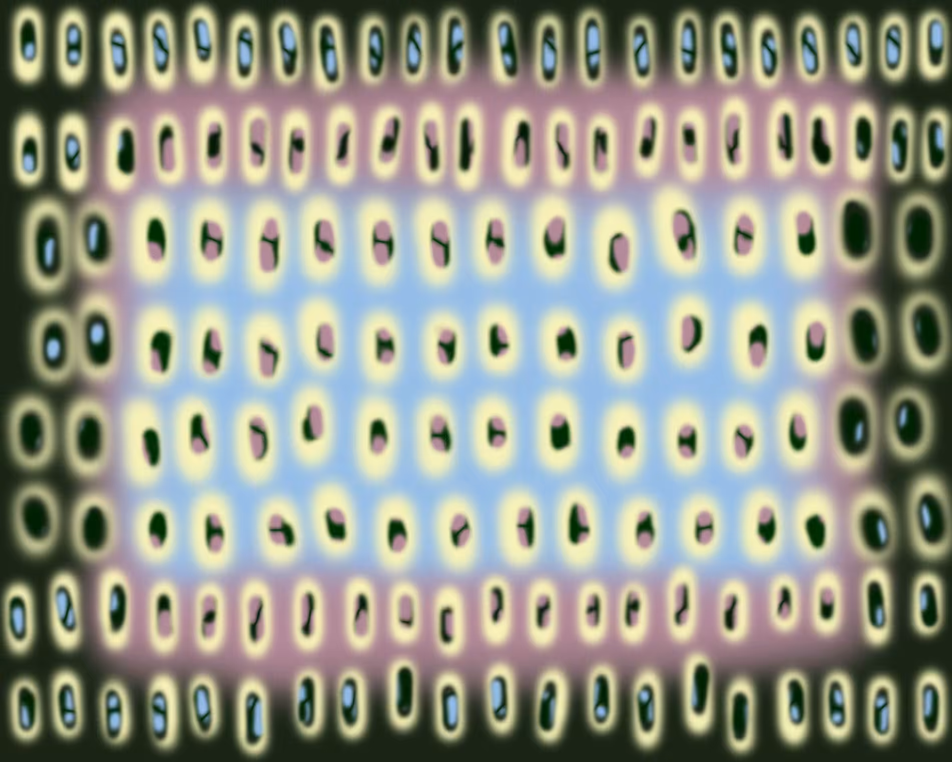 0004