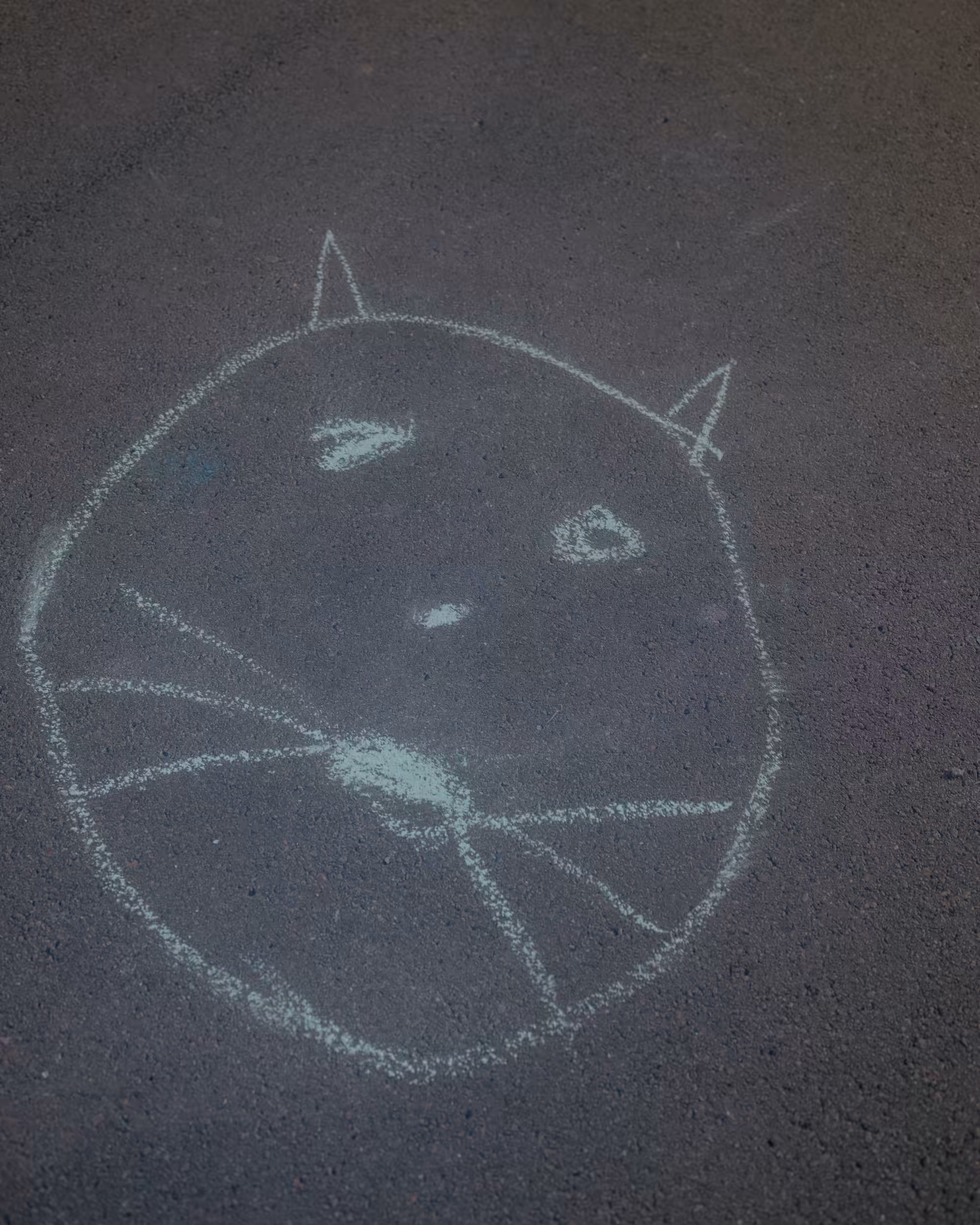 PhotoFilePhrens #16