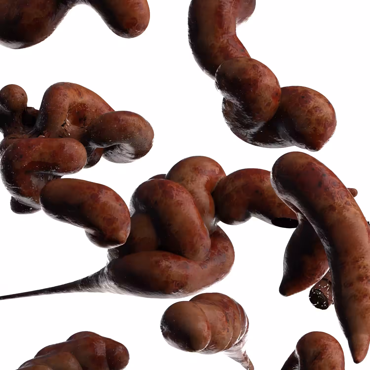 meat.06 