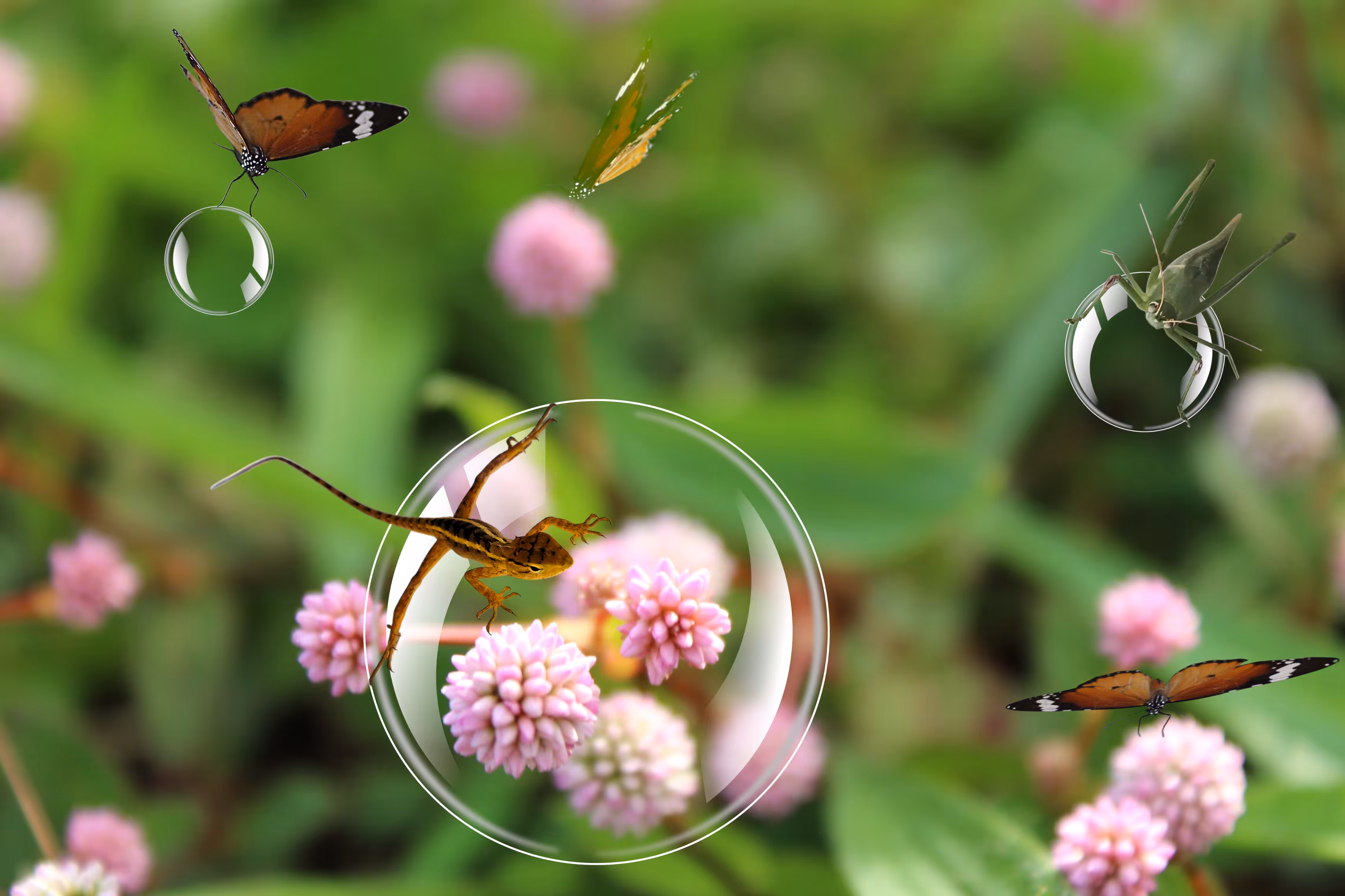 "Wildlife in Mauritius"