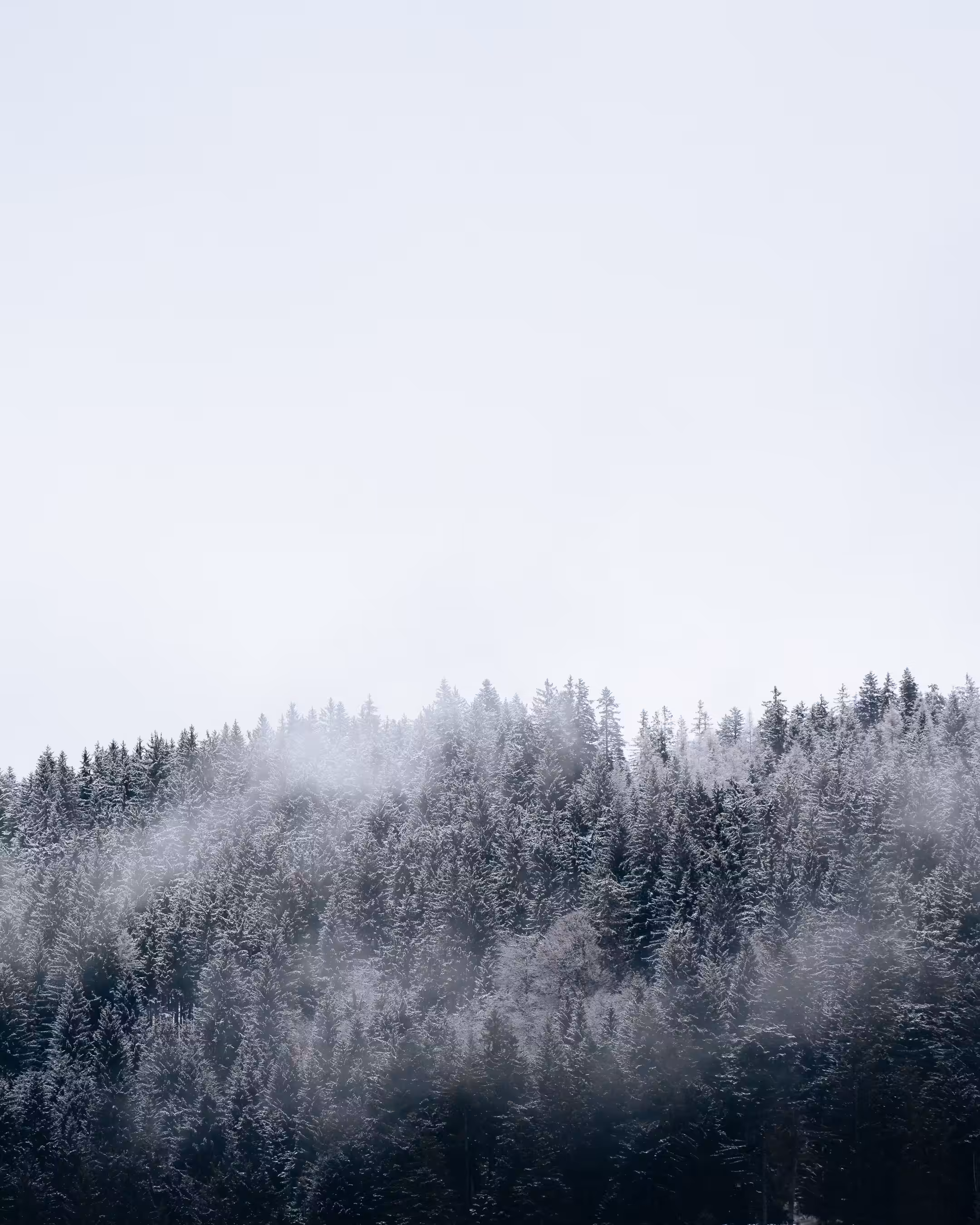 Winter - Part I