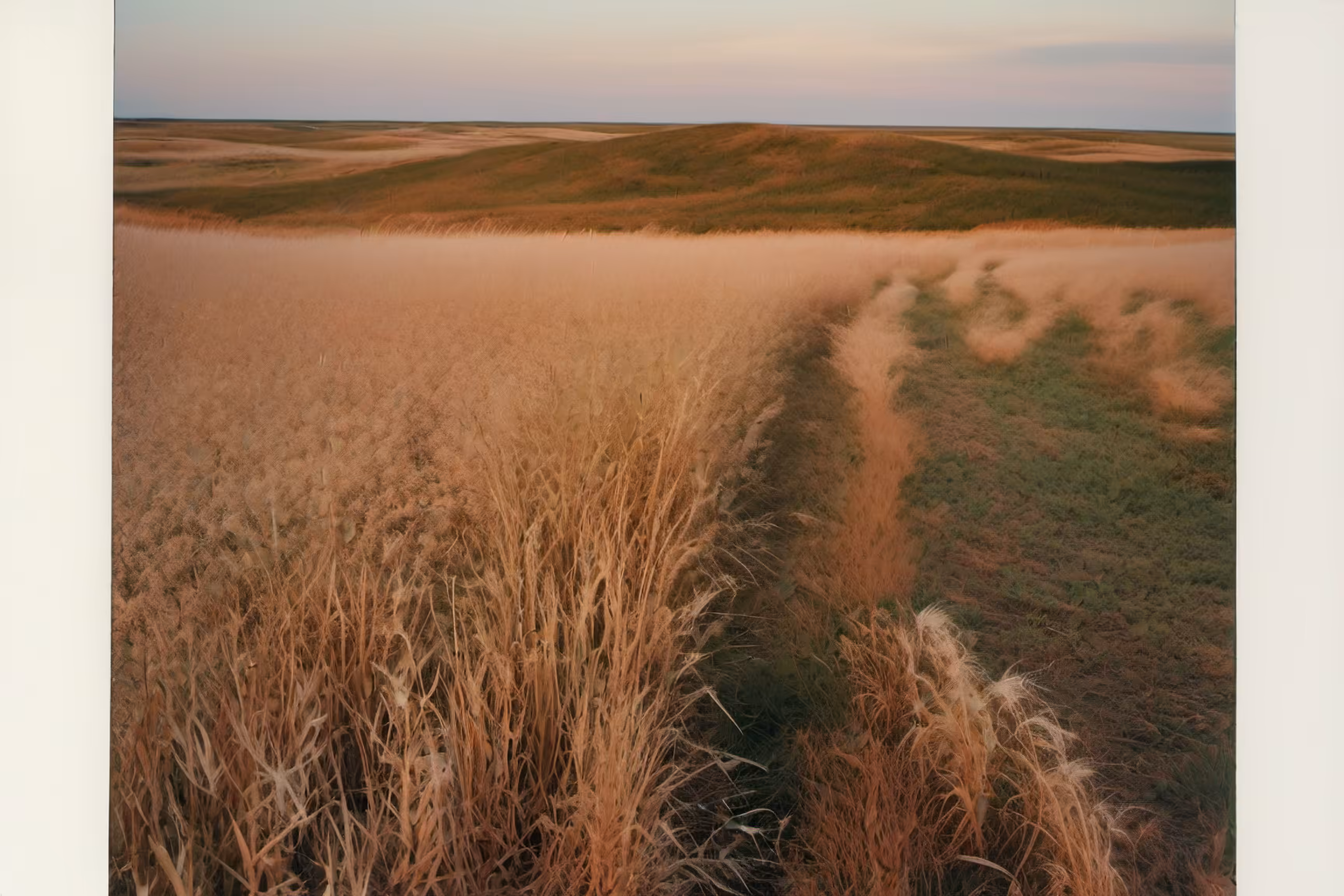 Lonely Landscapes #10