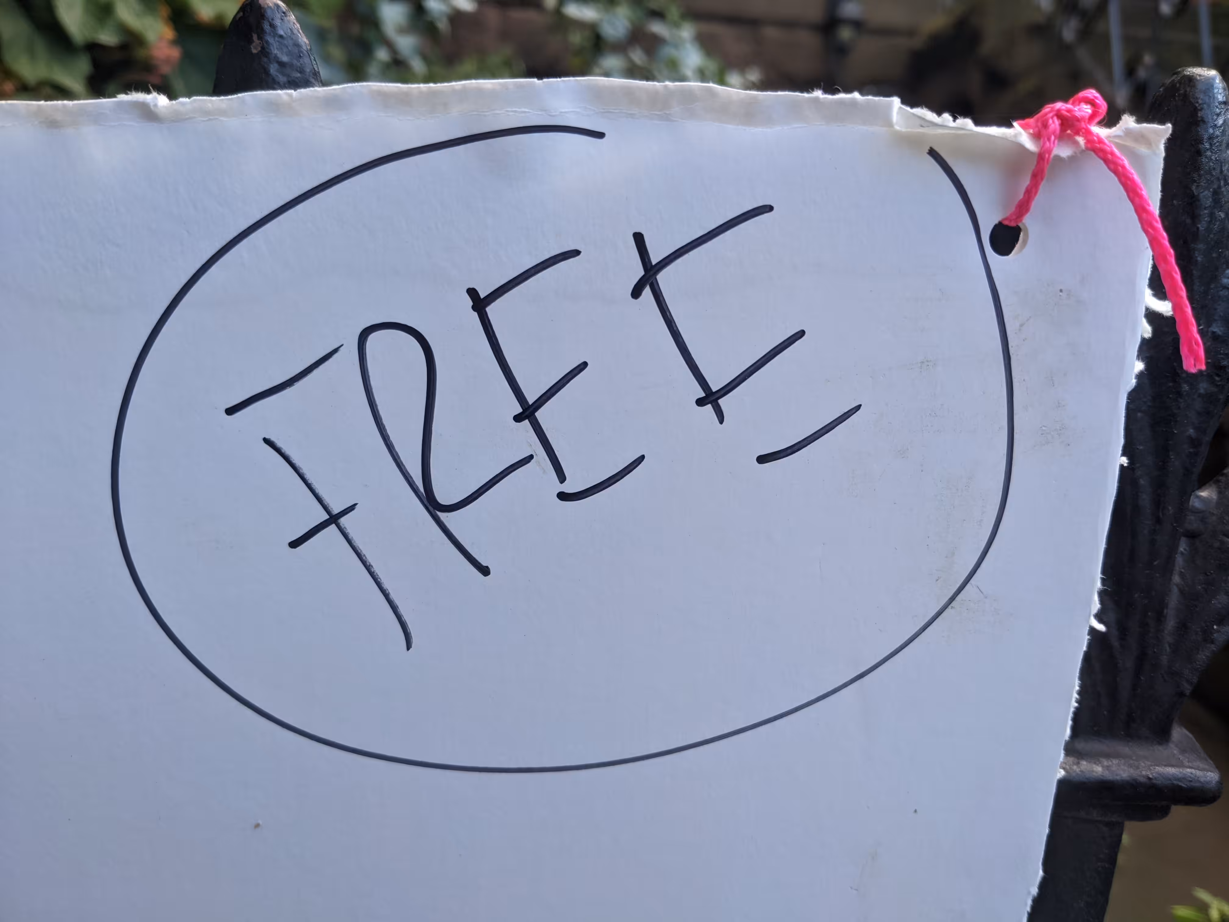 Free9 #8