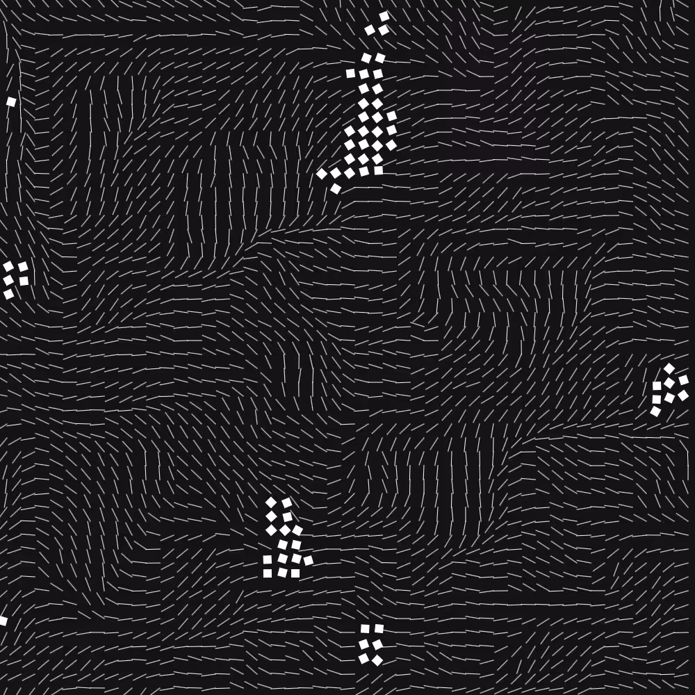 Geometric Fluidity #689