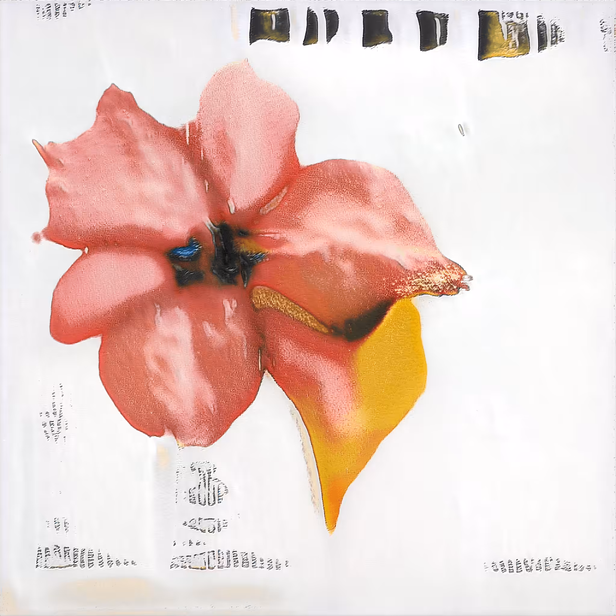 Record Seed 061