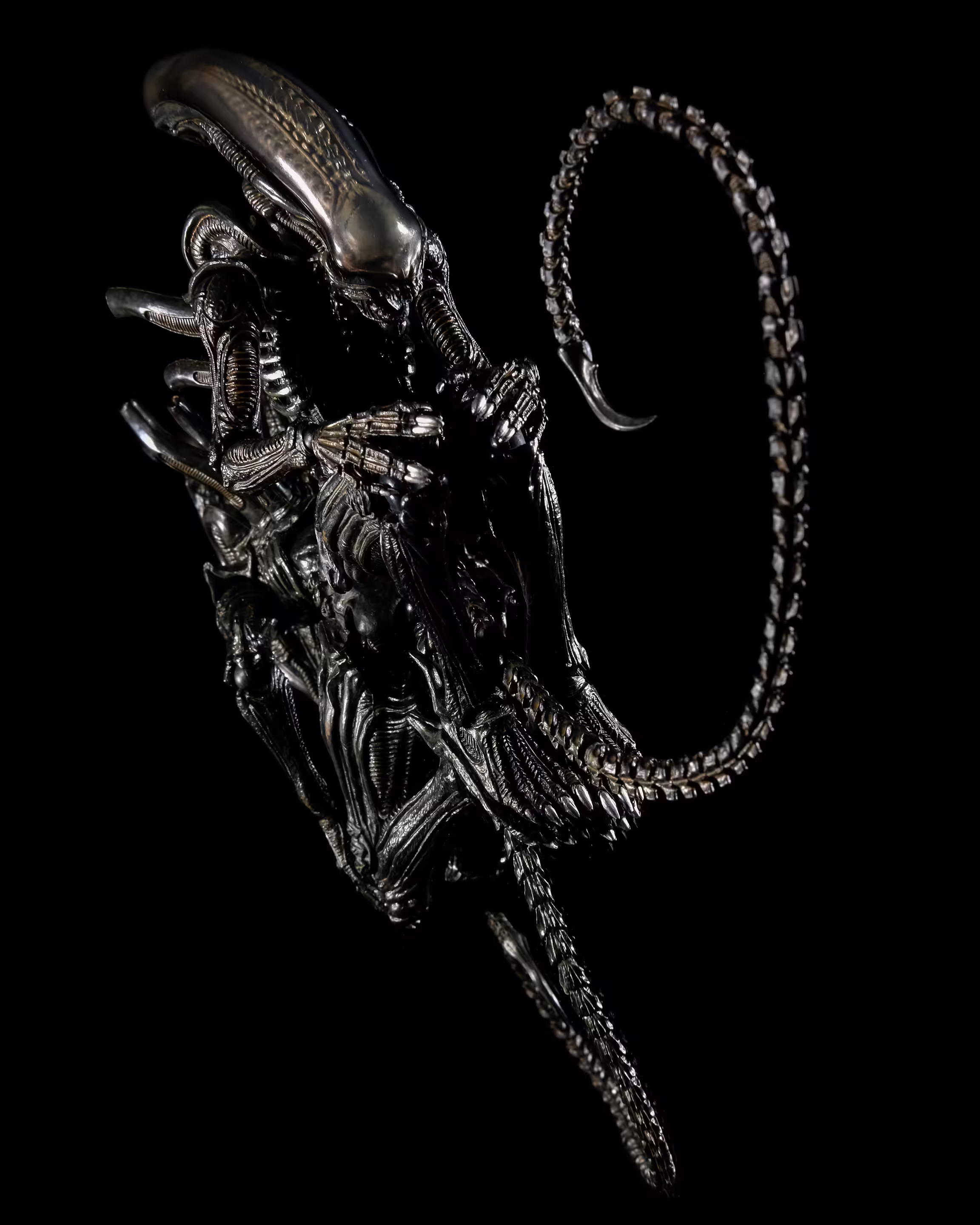 Xenomorph