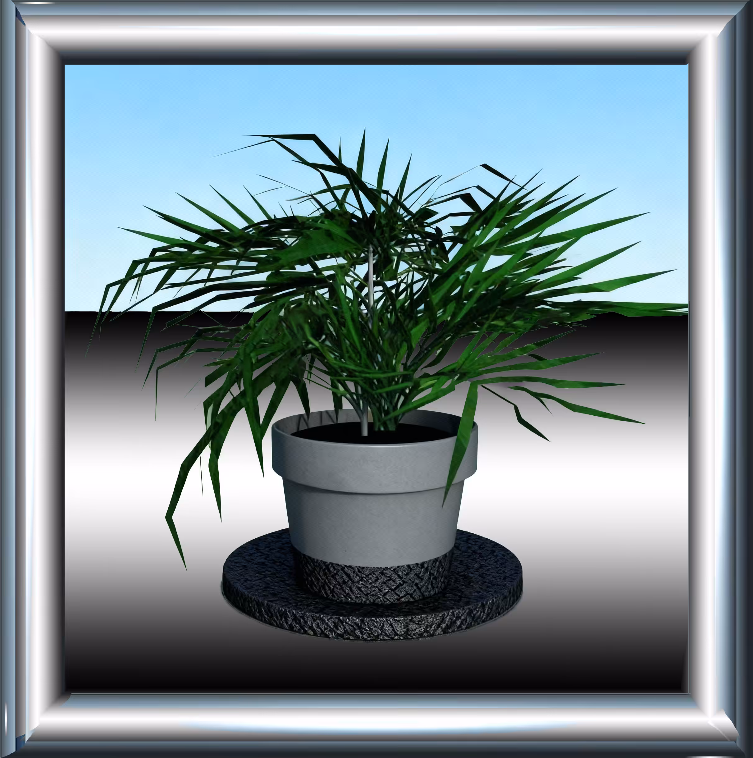 PLANTA SOLA