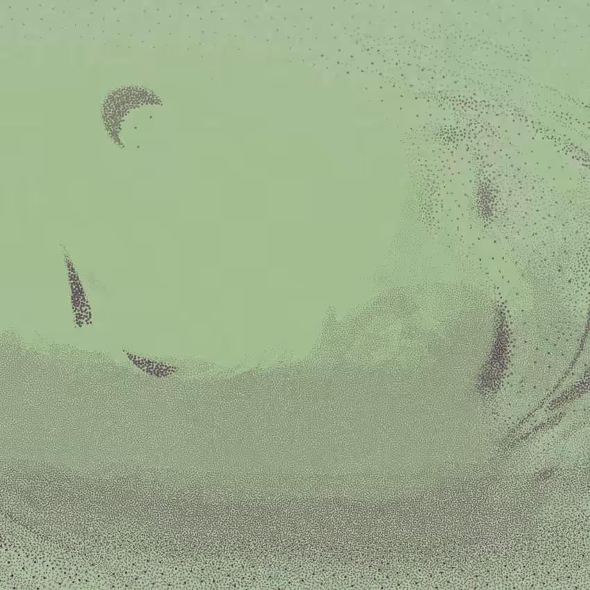 Turbulence #313