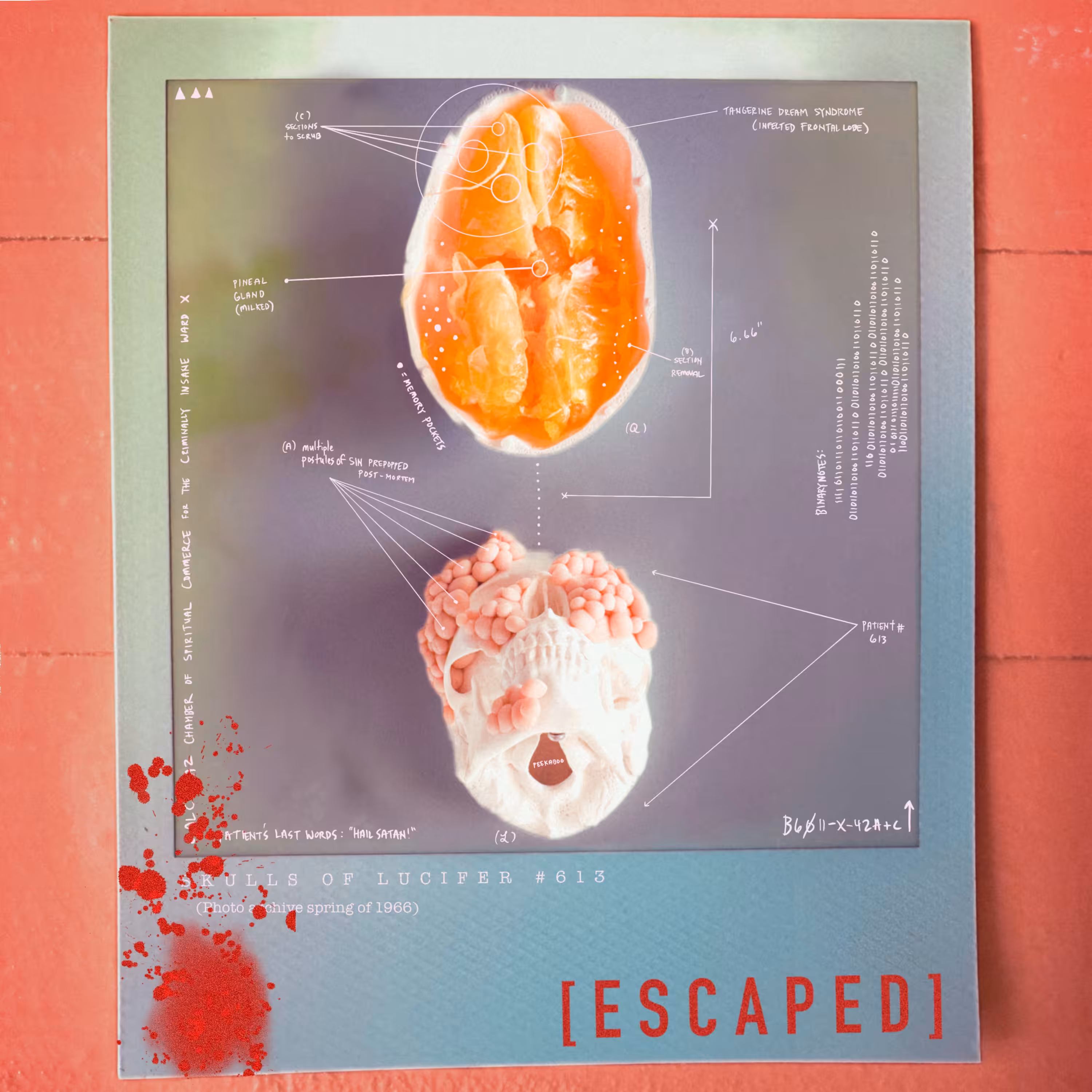 SKULLS OF LUCIFER: Paranoid Bipolaroids XX