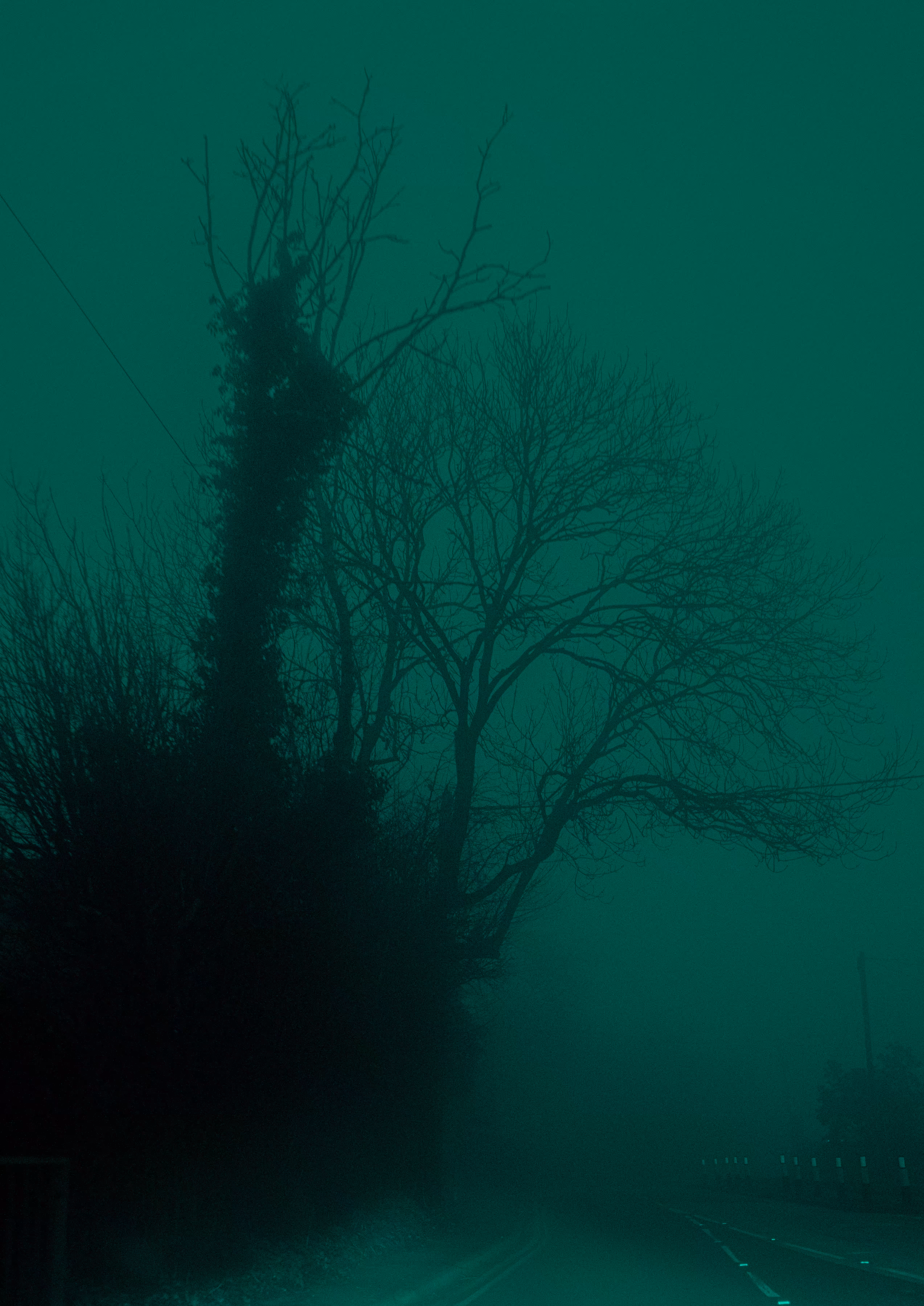 Late night drives in the fog