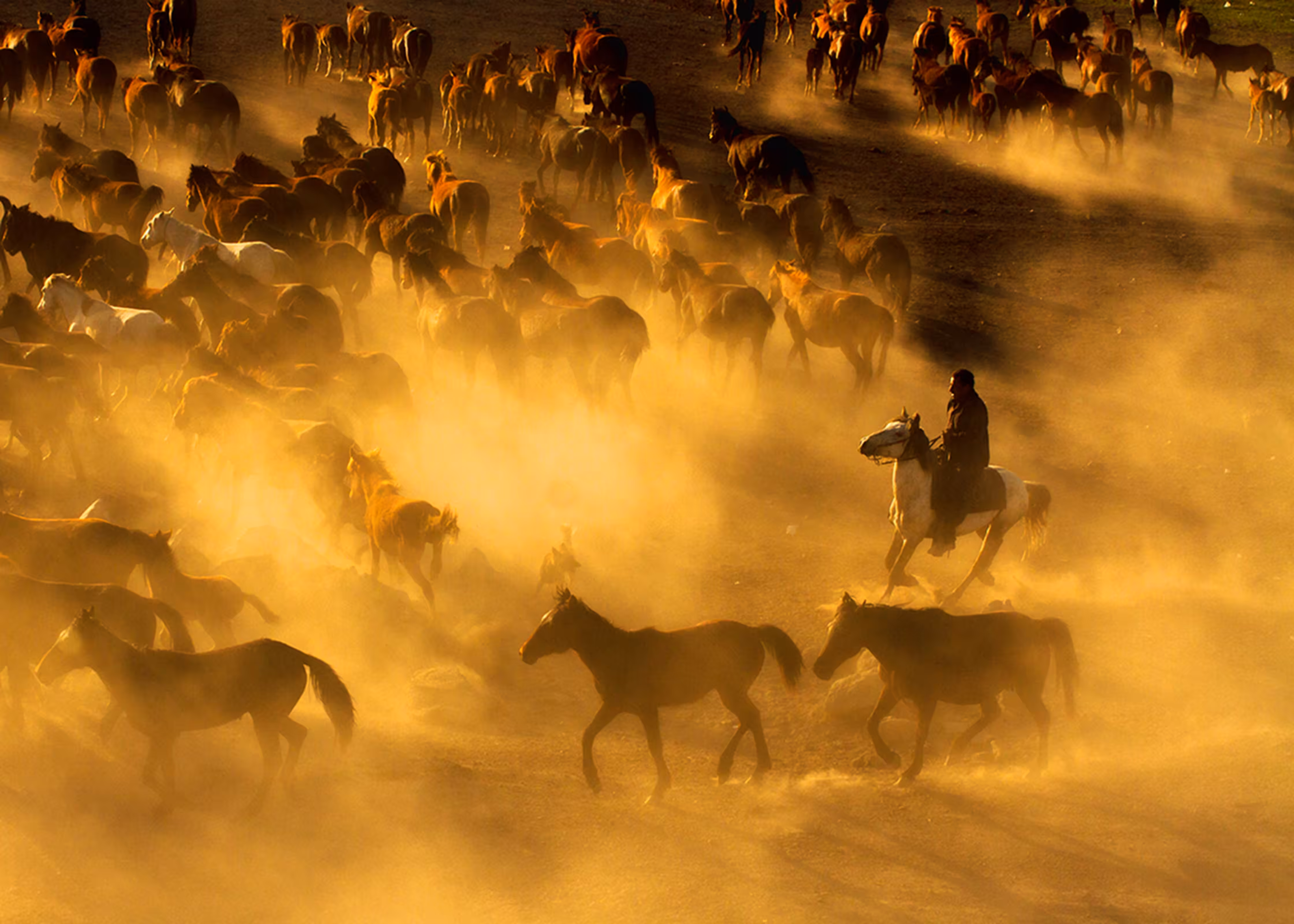 cowboy_2