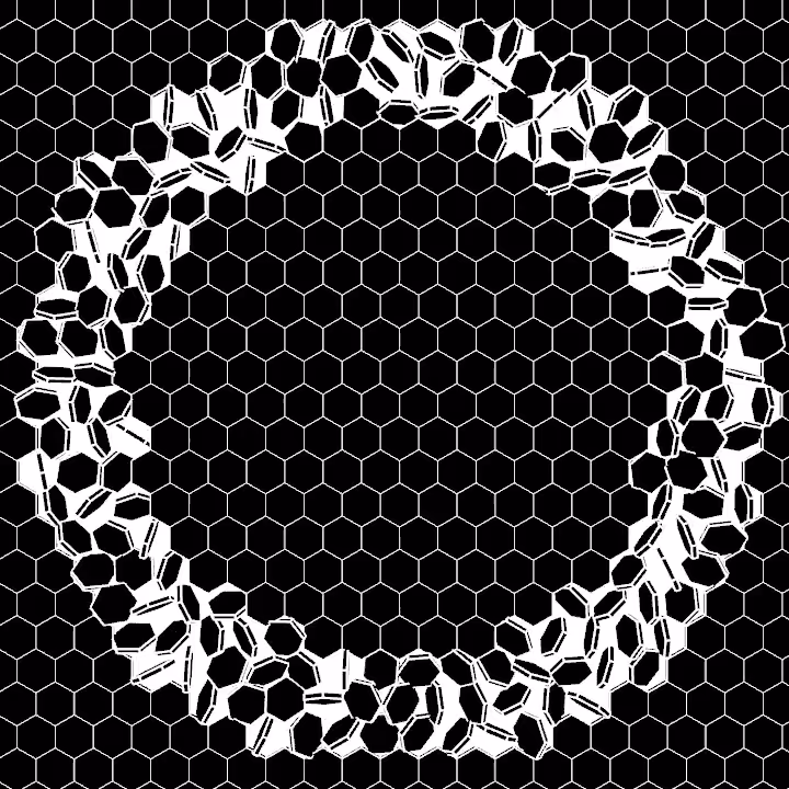 DoodleDeProgramming_20211120