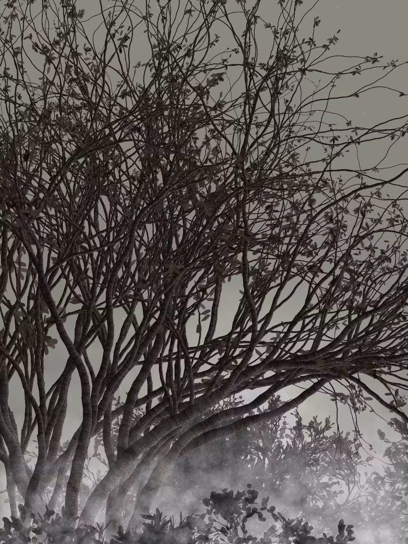 Morning Mist #87