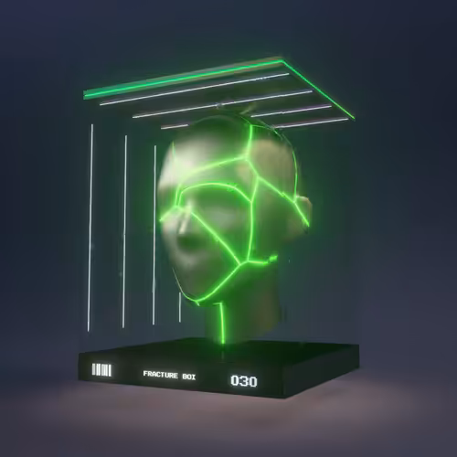 FRACTURE BOI - 030